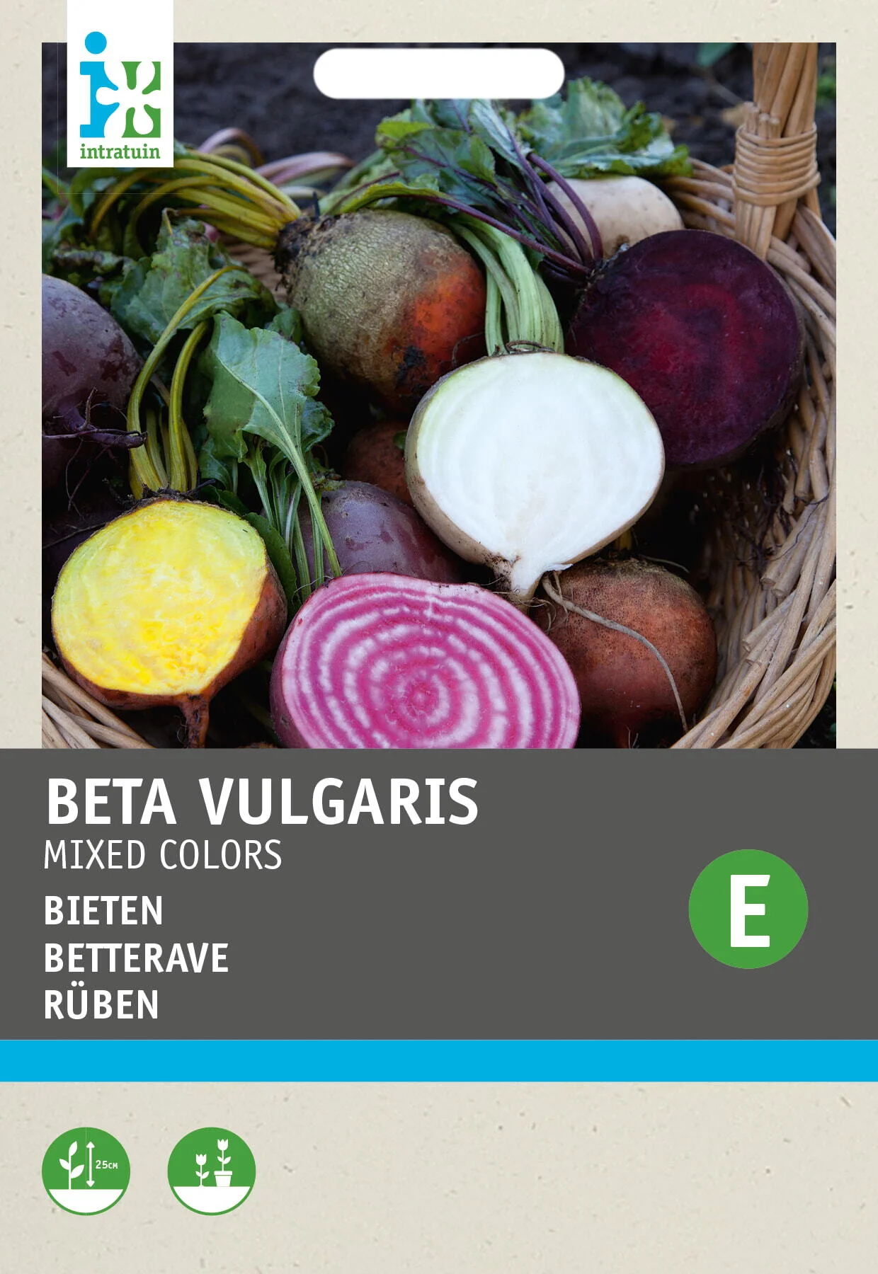 Intratuin groentezaad regenboog Bieten (Beta vulgares)