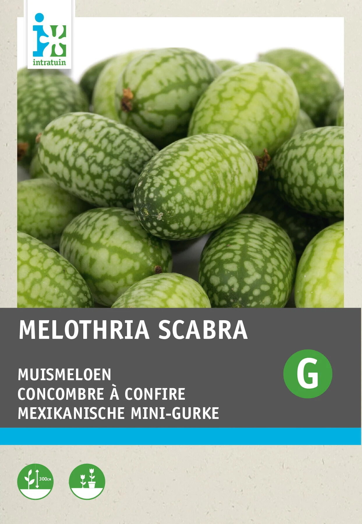 Intratuin groentezaad Muismeloen (Cucamelon)