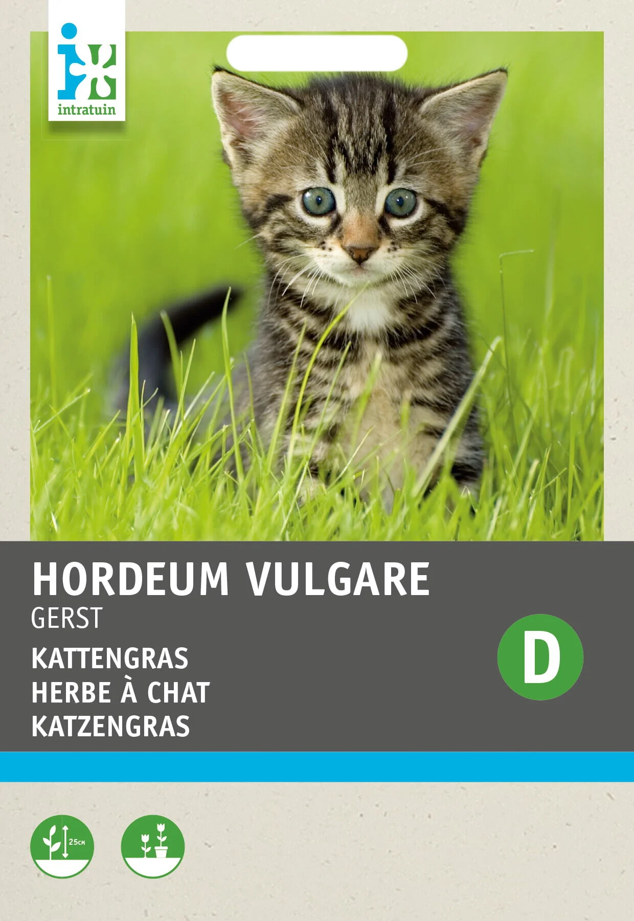 Intratuin kamerplantenzaad Kattengras (Hordeum vulgare)