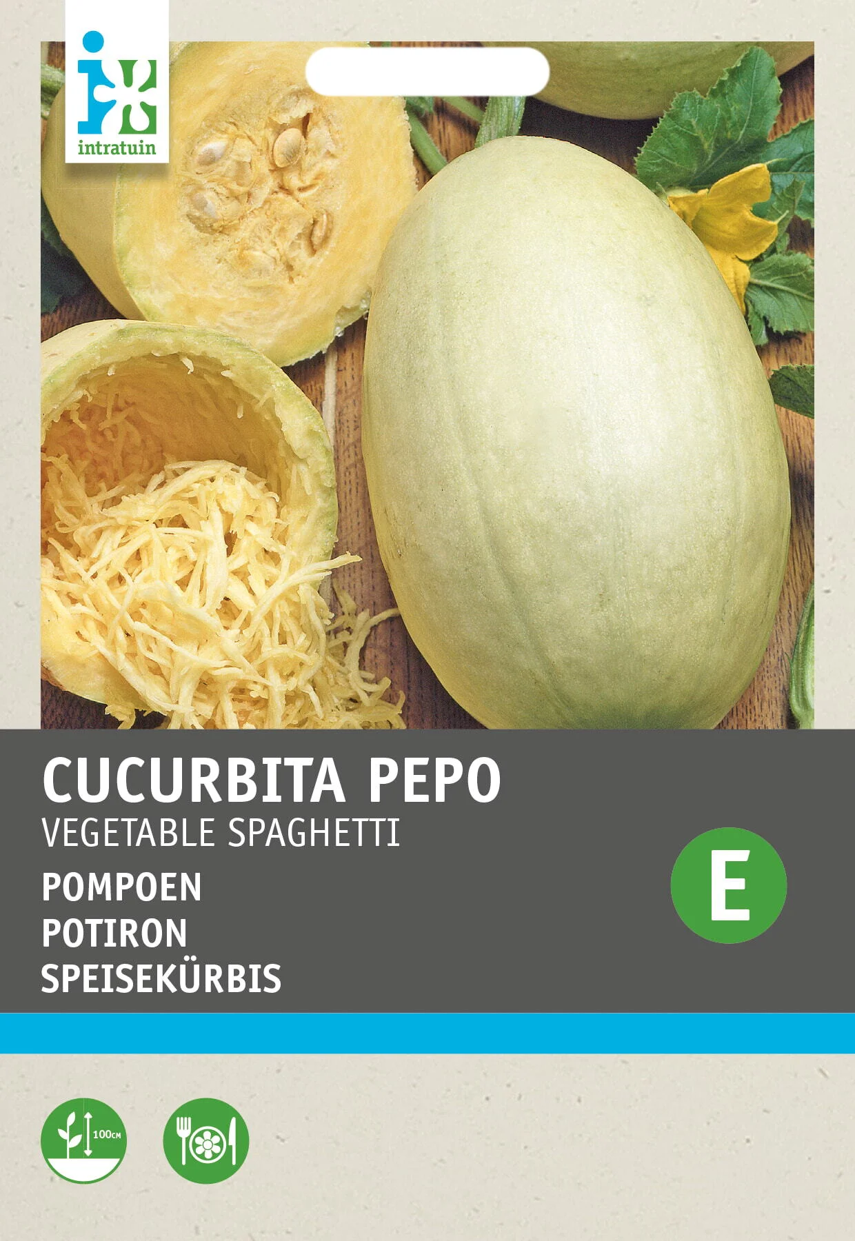Intratuin groentezaad Pompoen (Cucurbita 'Vegetable spaghetti')