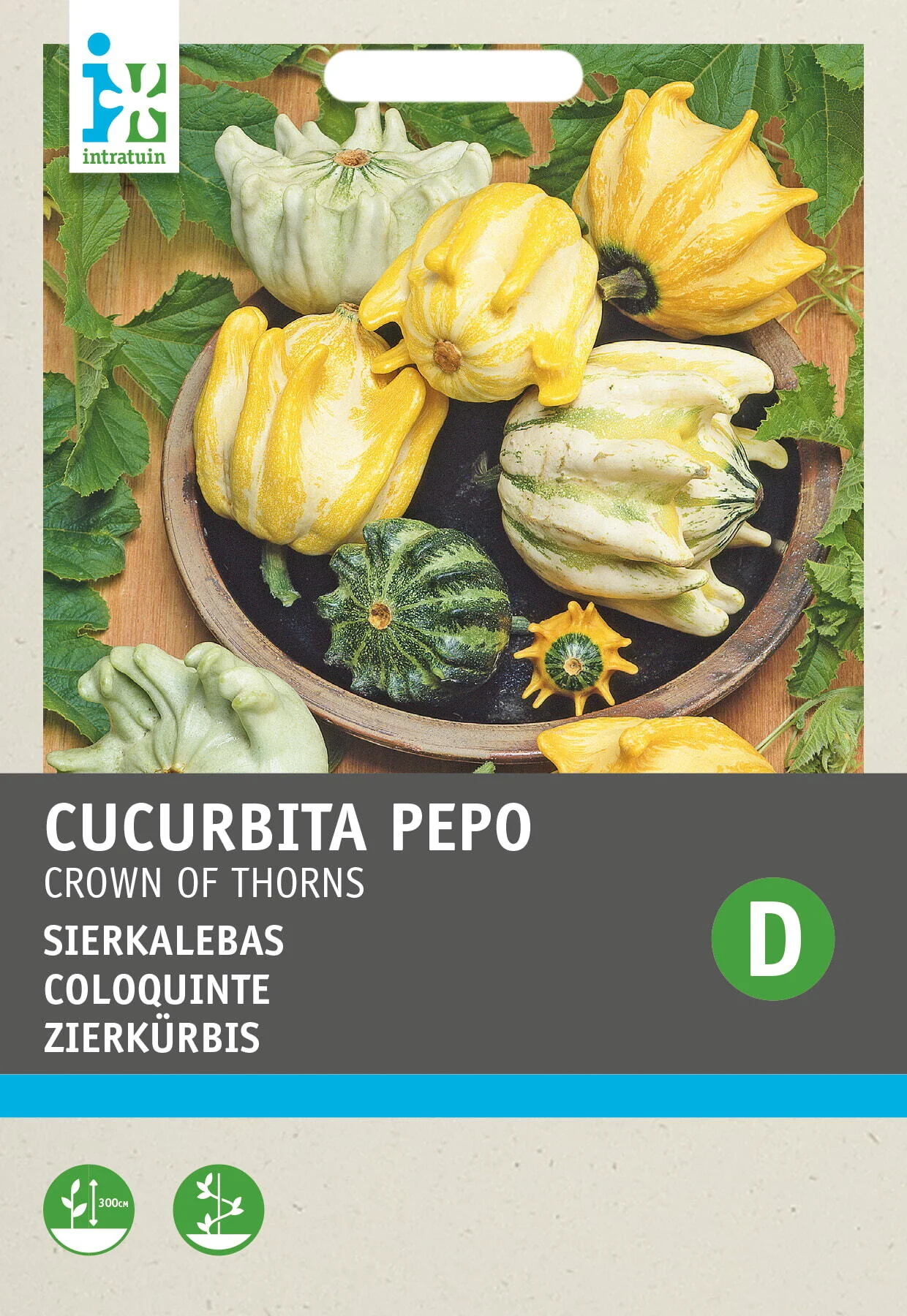 Intratuin groentezaad Sierkalebas (Cucurbita 'Crown of Thorns')