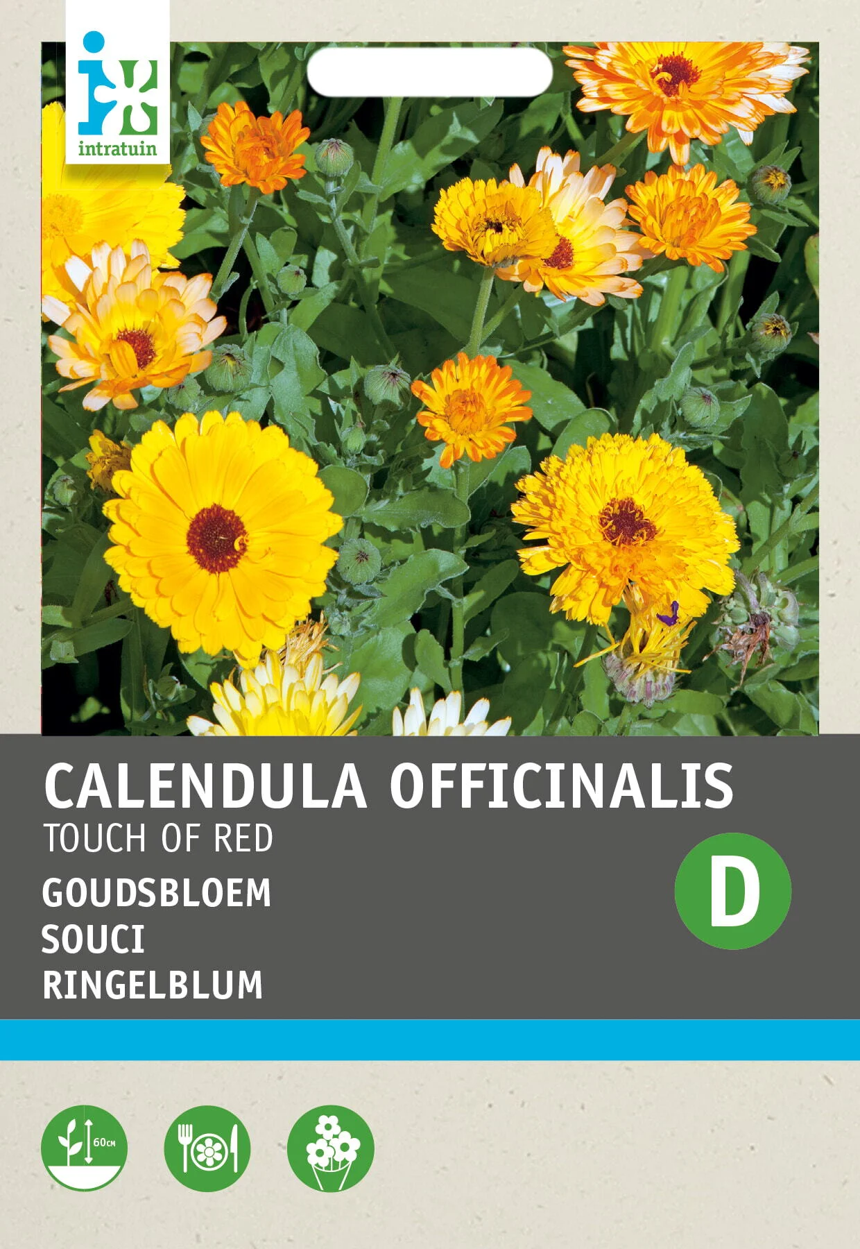 Intratuin bloemenzaad Goudsbloem (Calendula 'Touch of Red')