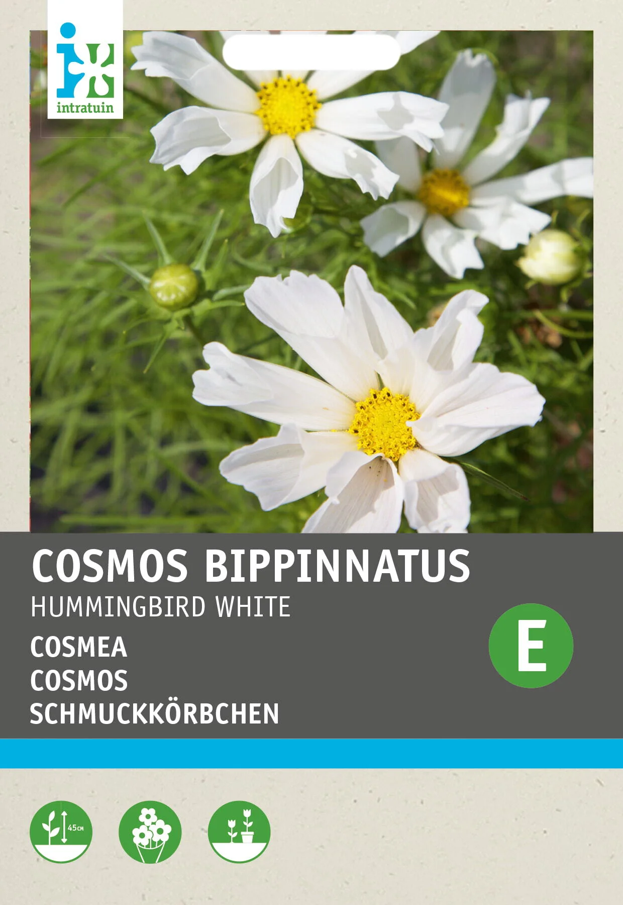 Intratuin bloemenzaad Cosmos (Cosmea 'Hummingbird White')