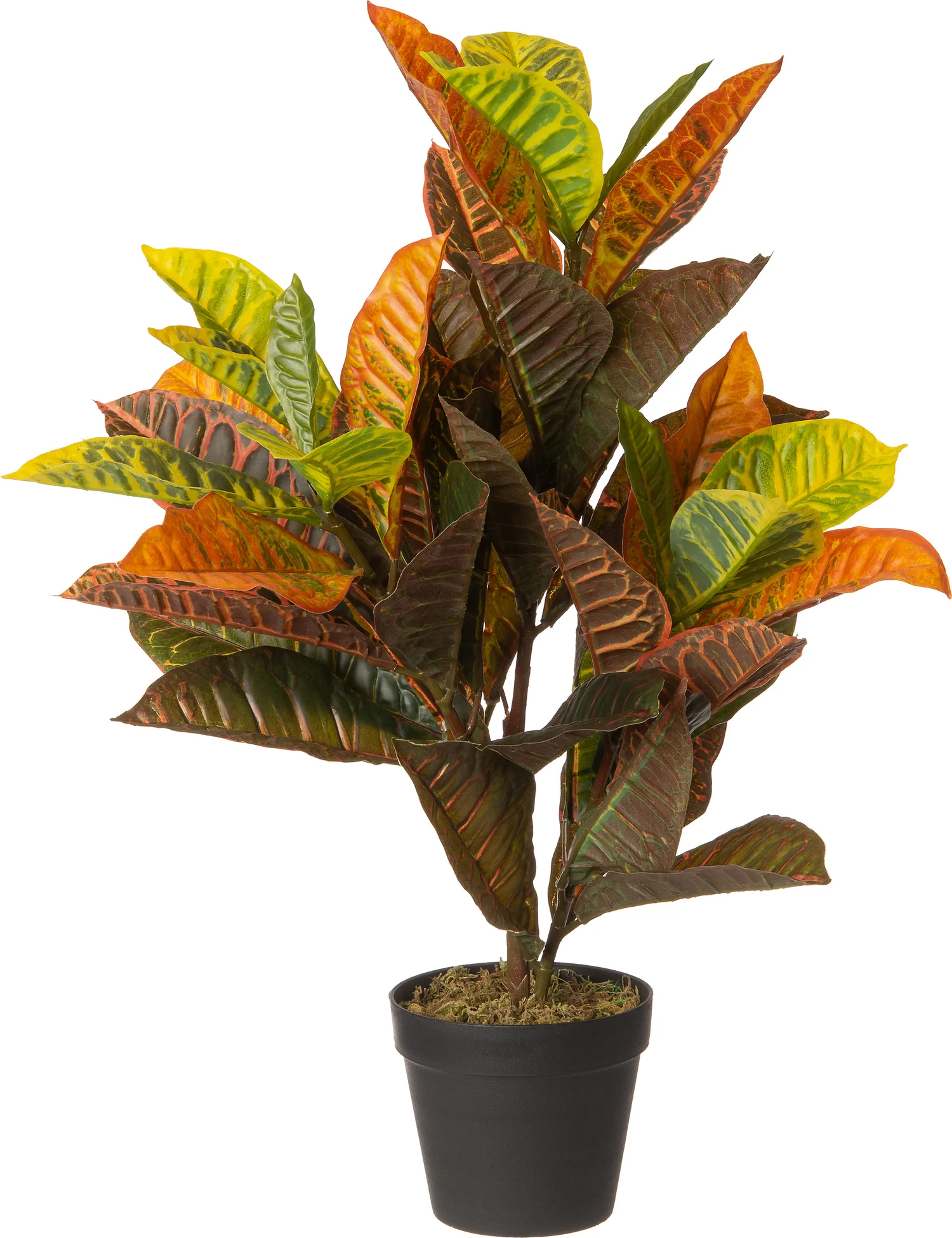 Intratuin kunstplant Croton multi 45 x 40 x 75 cm