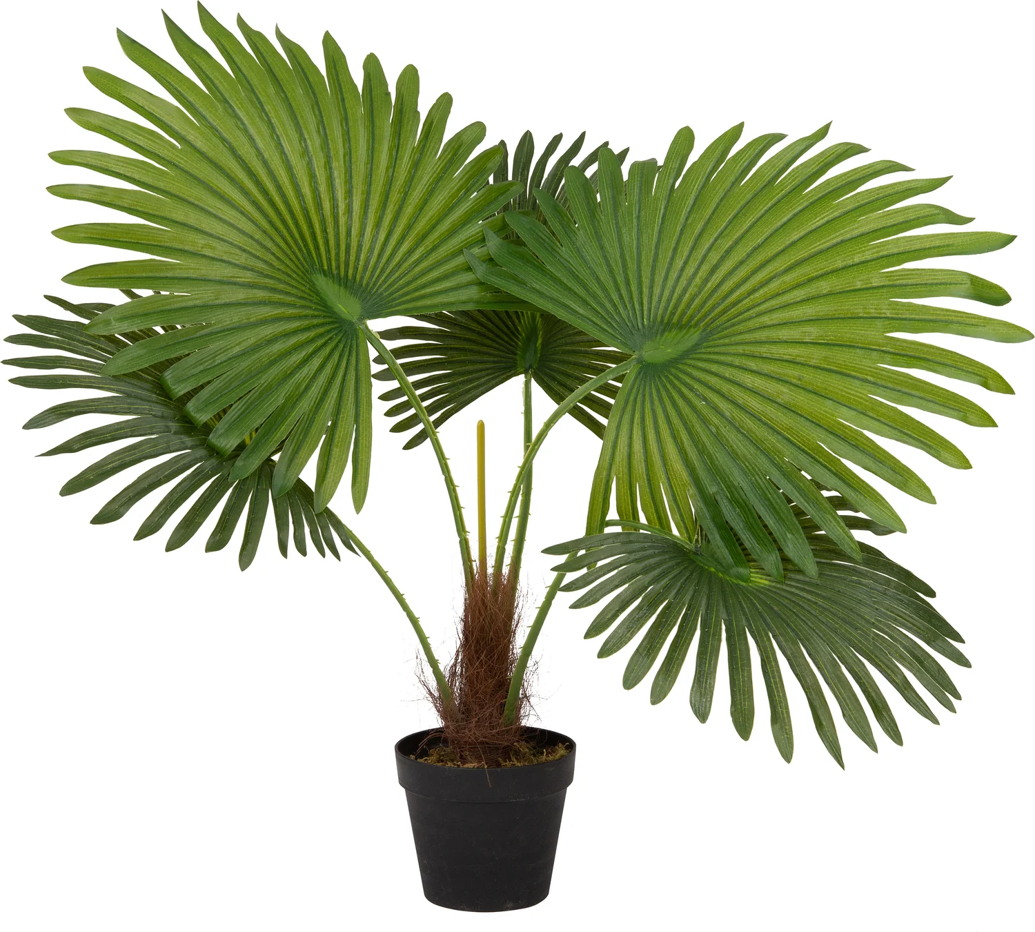 Intratuin kunstplant palm 65 x 60 x 80 cm