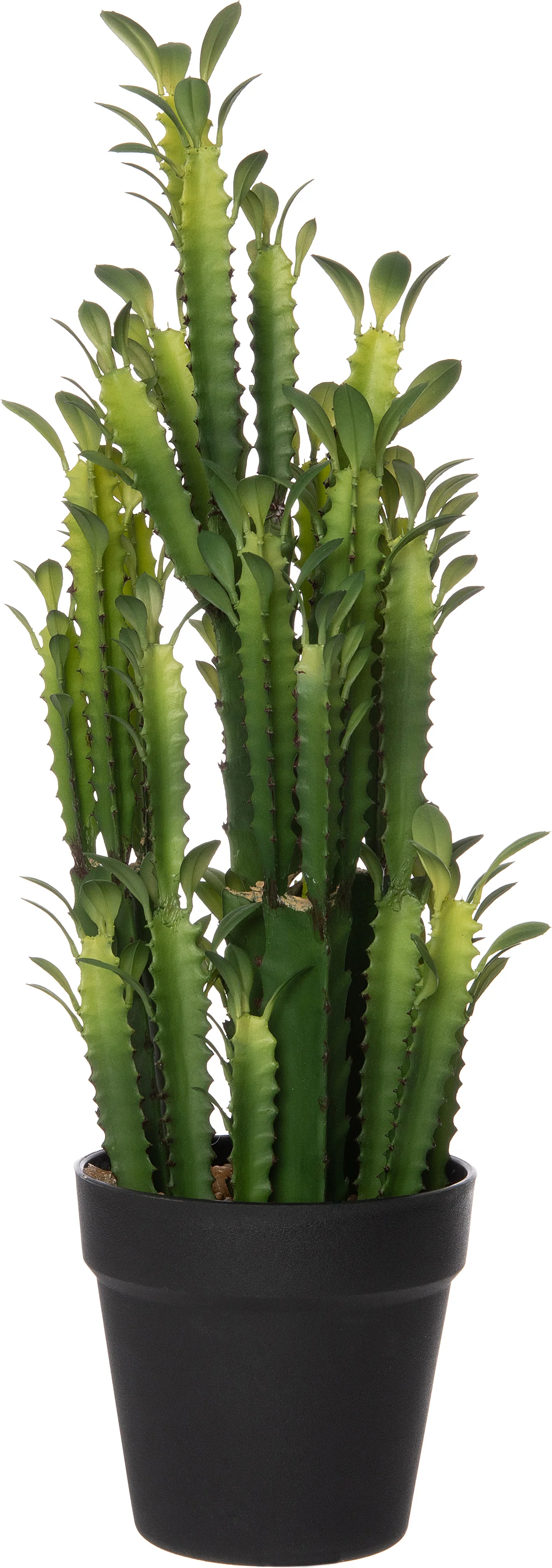 Intratuin kunstplant Euphorbia ingens D 15 H 50 cm