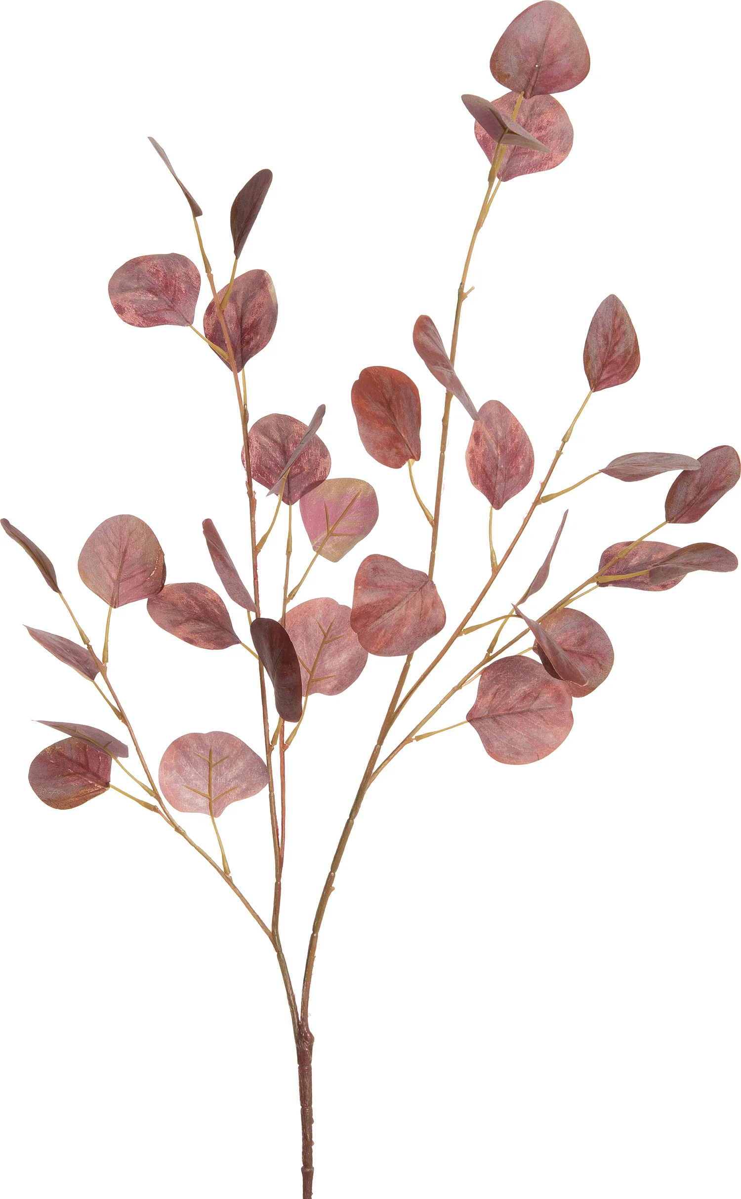 Intratuin kunsttak Eucalyptus bruin 94 cm