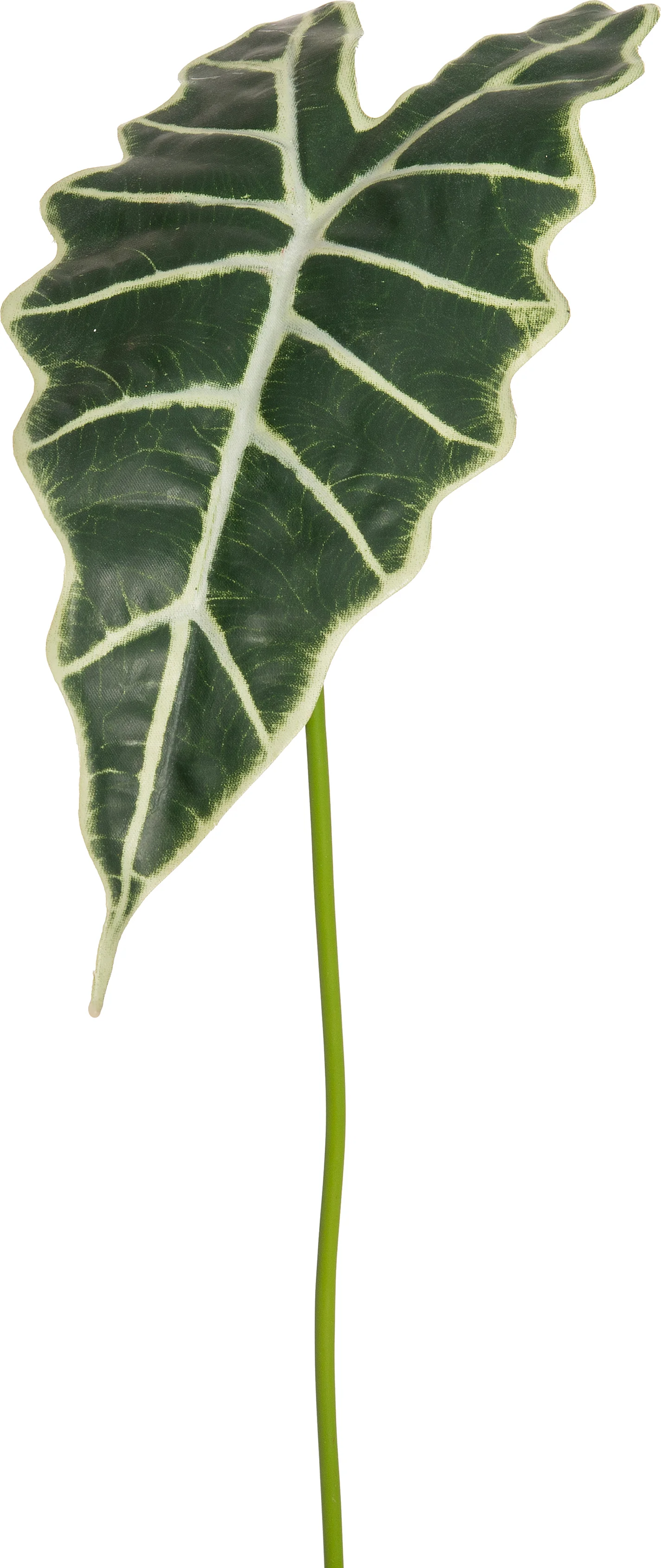 Intratuin kunsttak Alocasia 92 cm