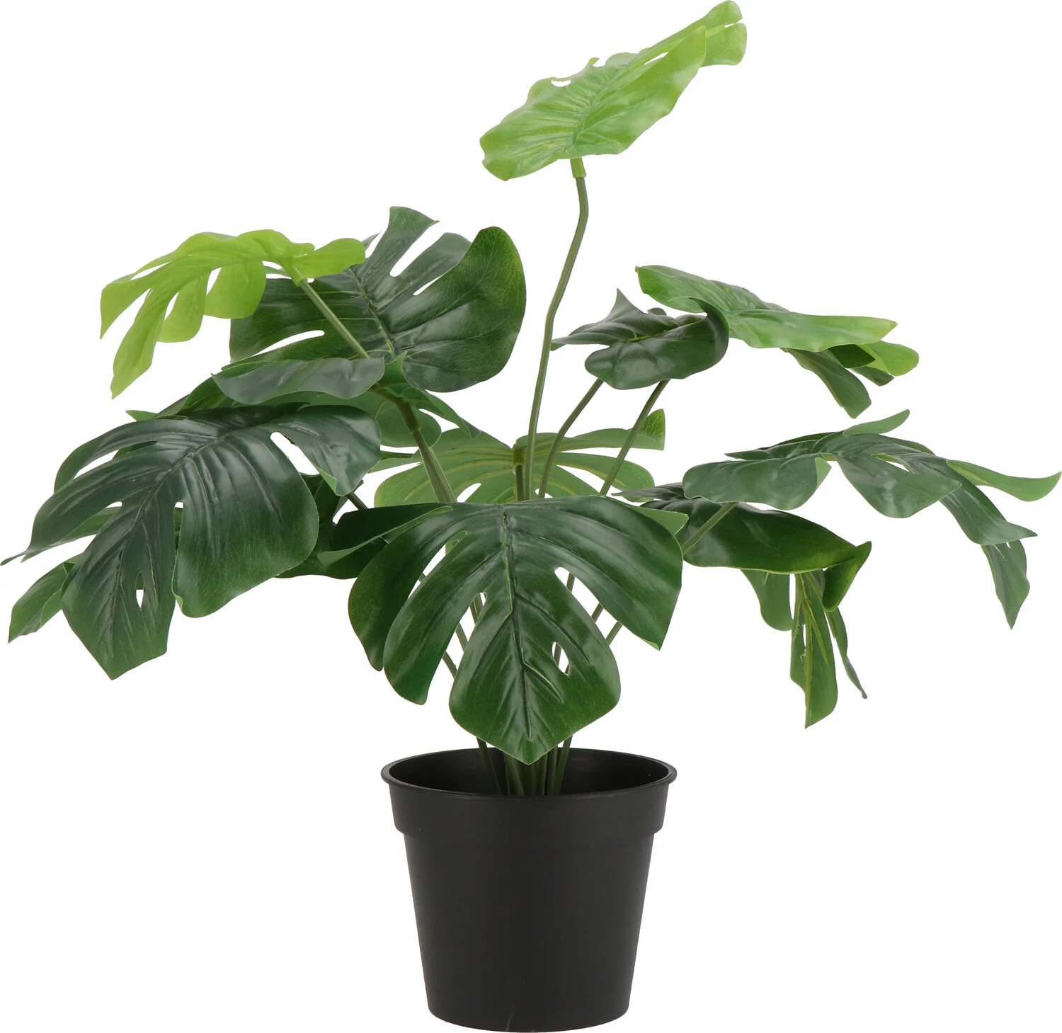 Intratuin kunstplant Monstera D 42 H 40 cm