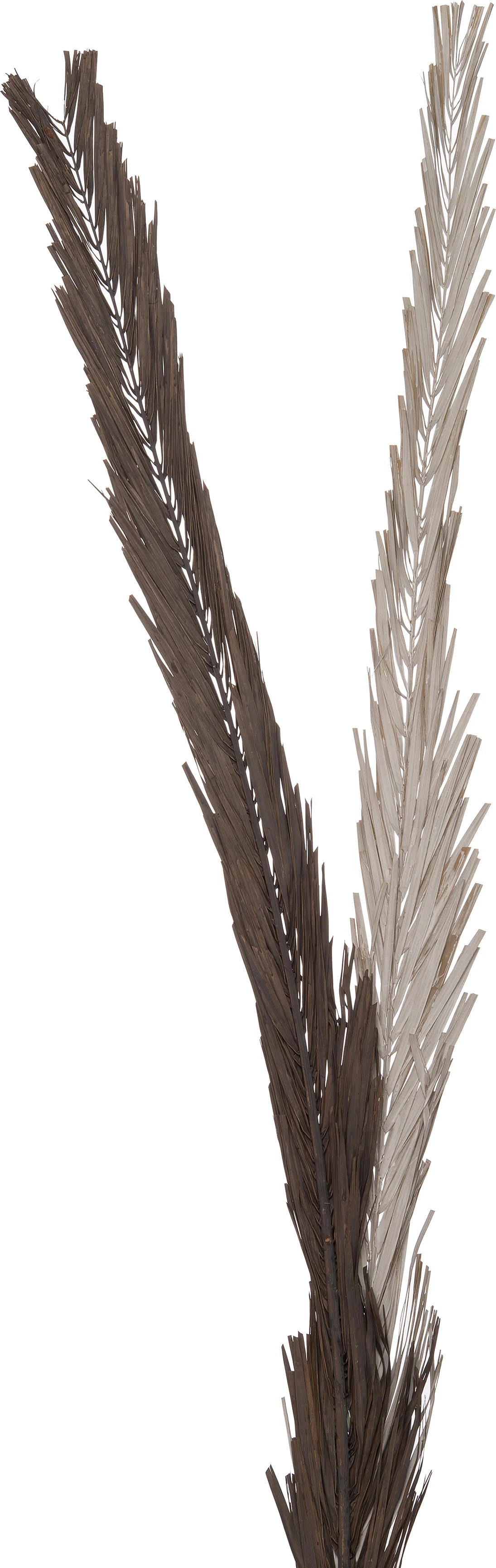 Intratuin decoratie tak grijs H 145 cm
