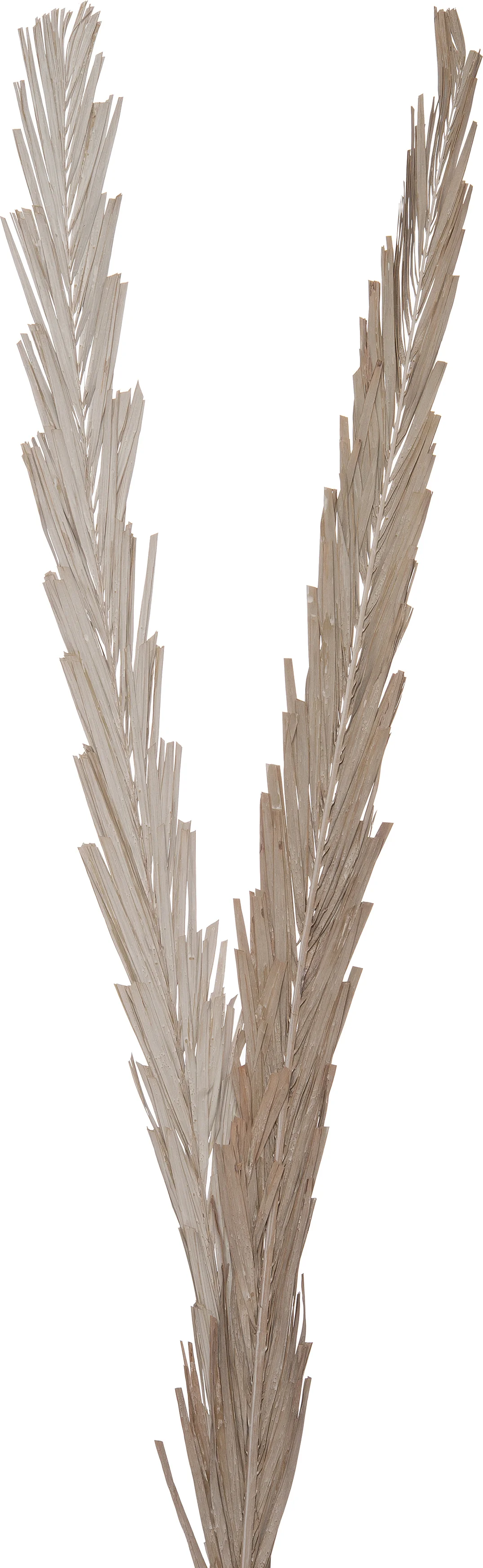 Intratuin decoratie tak wit H 145 cm