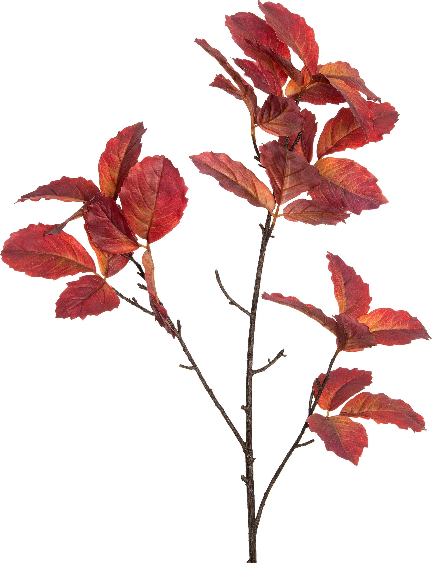 Intratuin kunsttak Vitis rood 110 cm