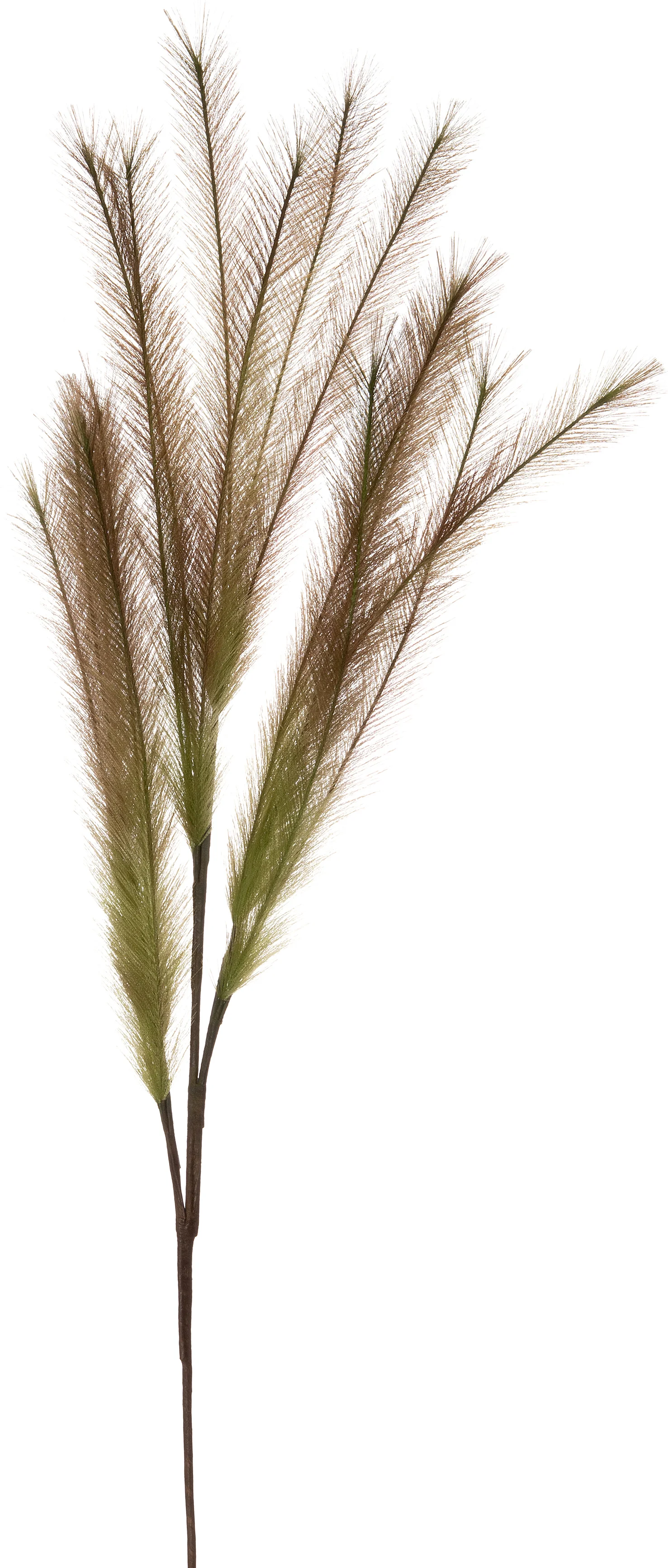 Intratuin kunsttak Pluim groen / bruin 140 cm