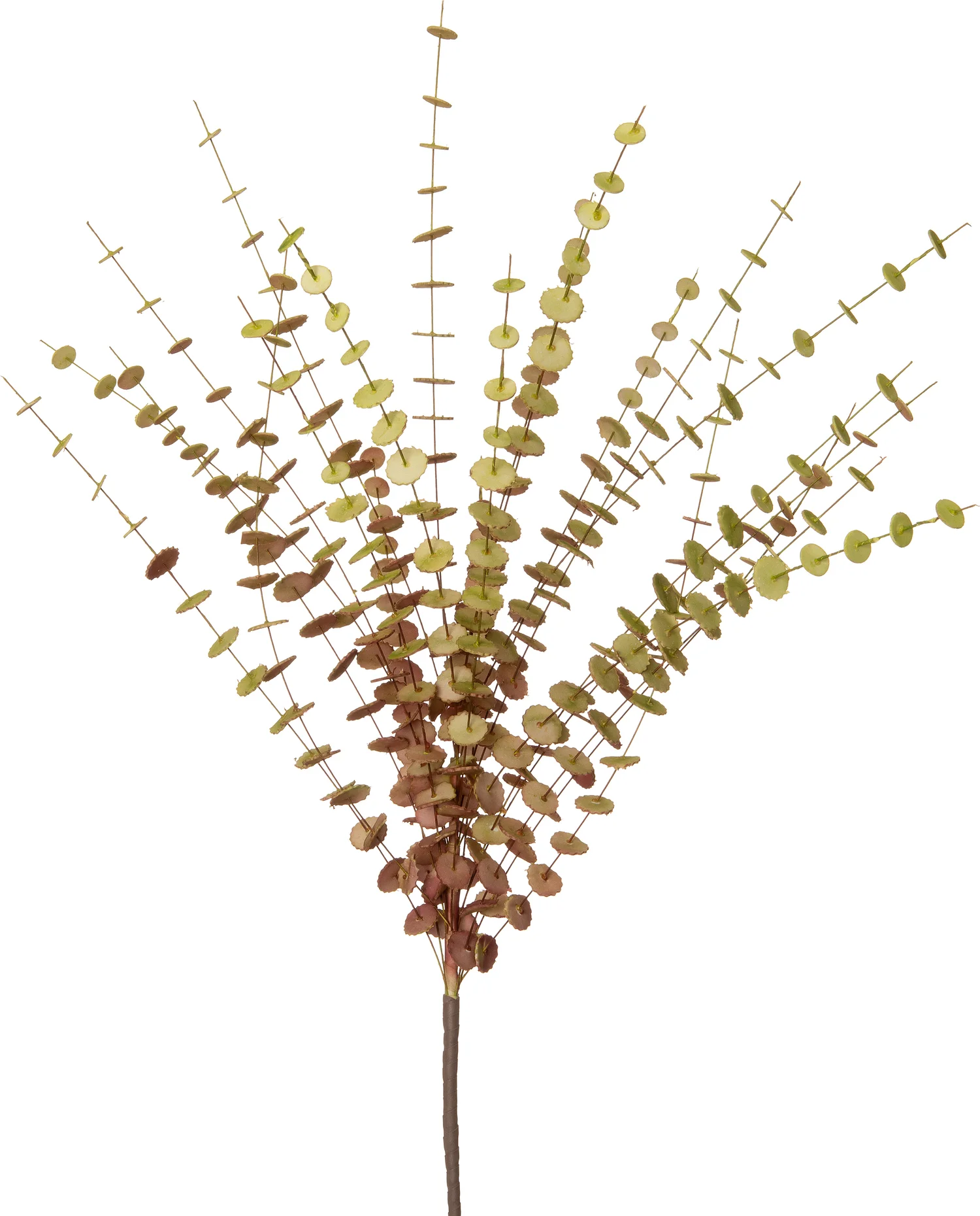 Intratuin kunsttak Eucalyptus groen rood 102 cm