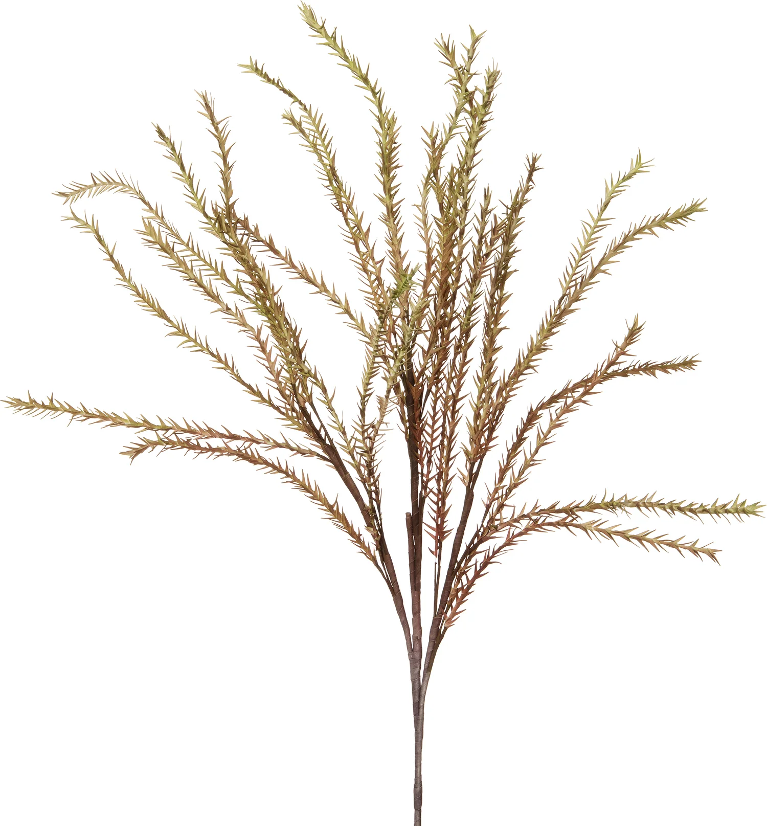 Intratuin kunsttak naalden pluim groen rood 126 cm