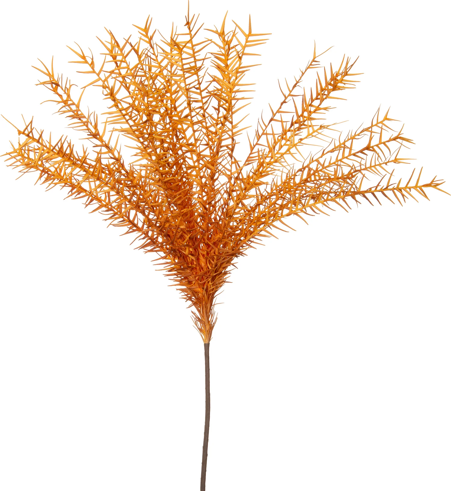 Intratuin kunsttak naalden pluim oranje 86 cm