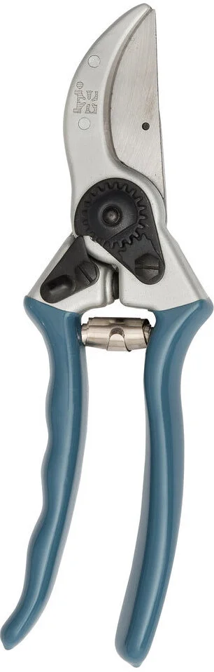 Intratuin premium snoeischaar zilver/blauw