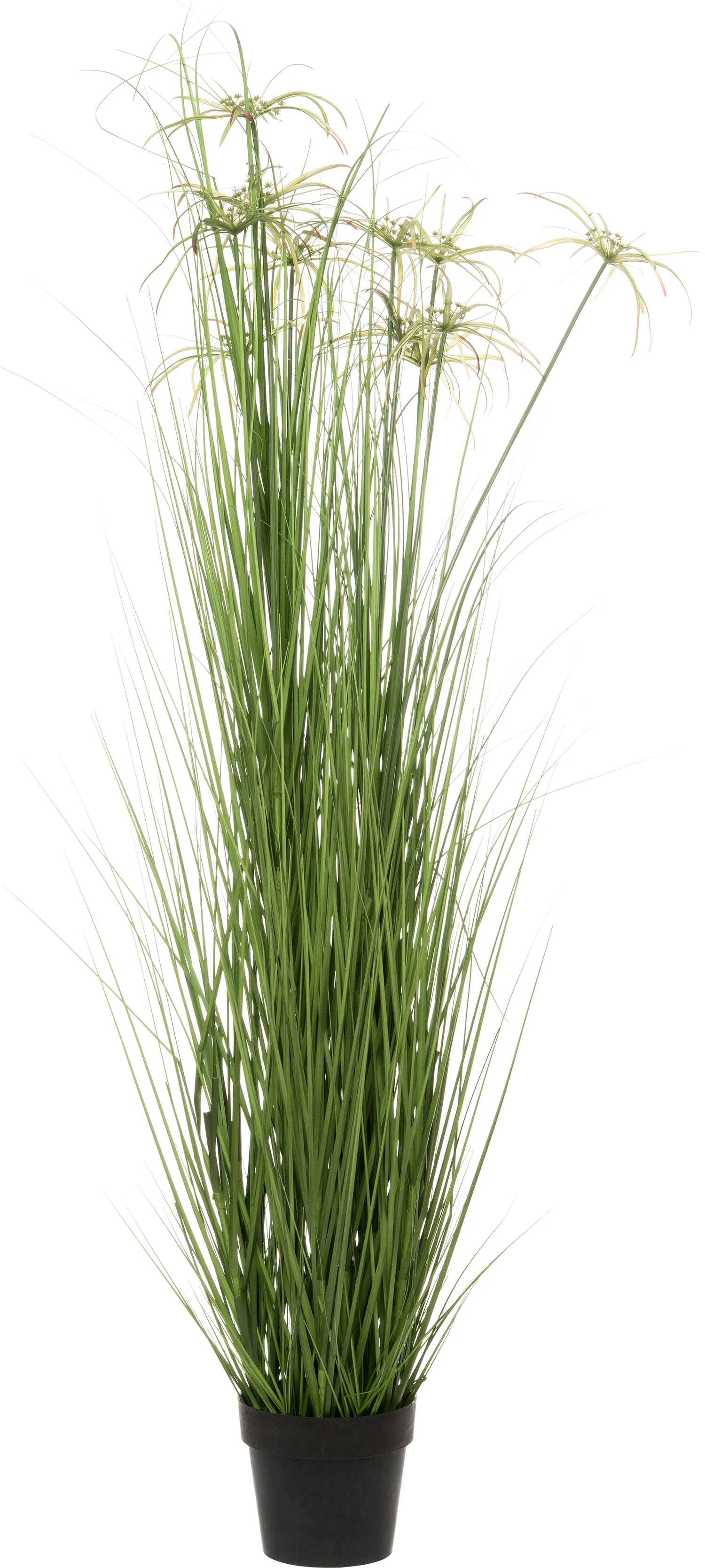 Intratuin kunstplant Papyrus D 64 H 160 cm