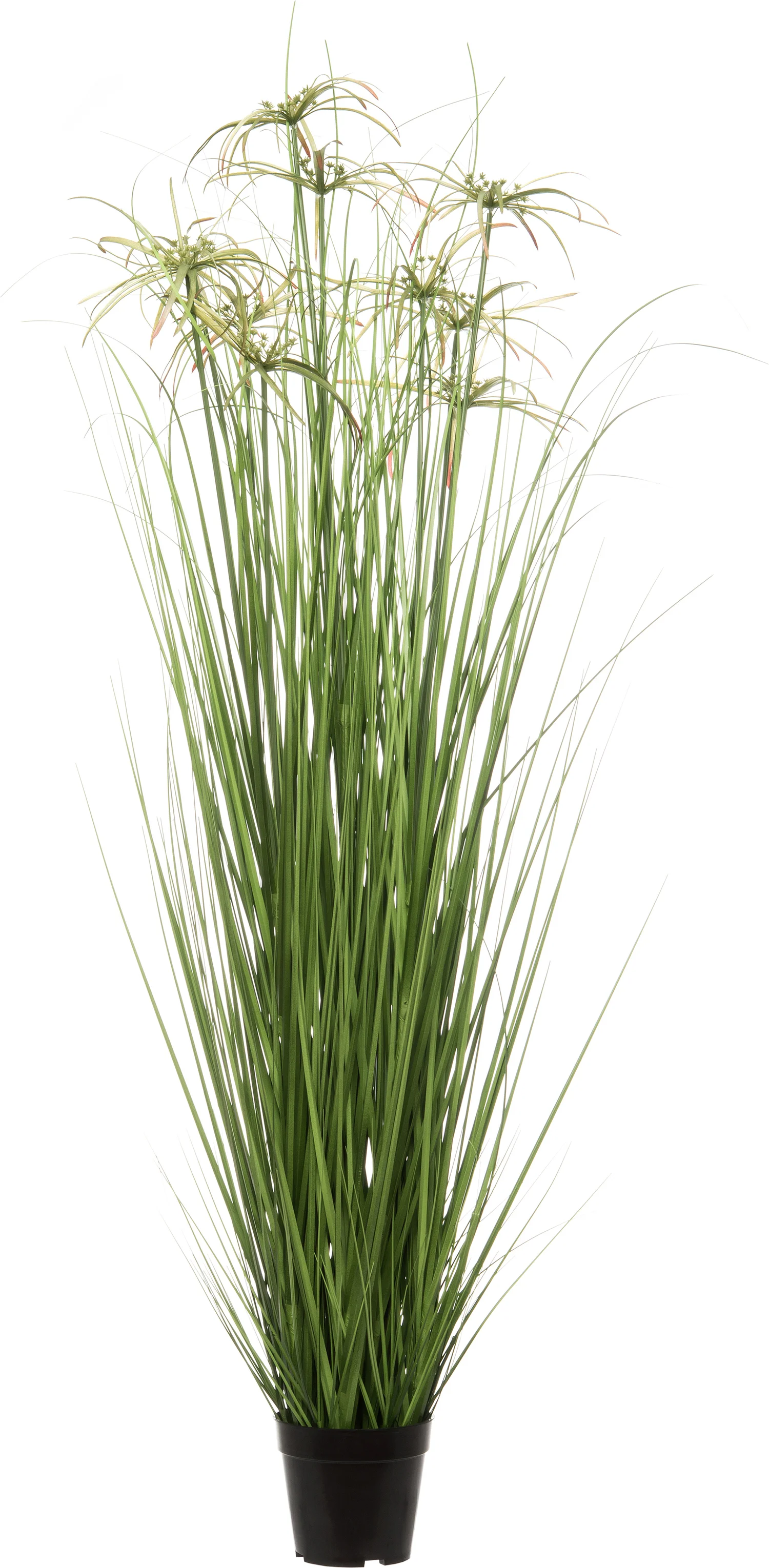 Intratuin kunstplant Papyrus D 50 H 110 cm