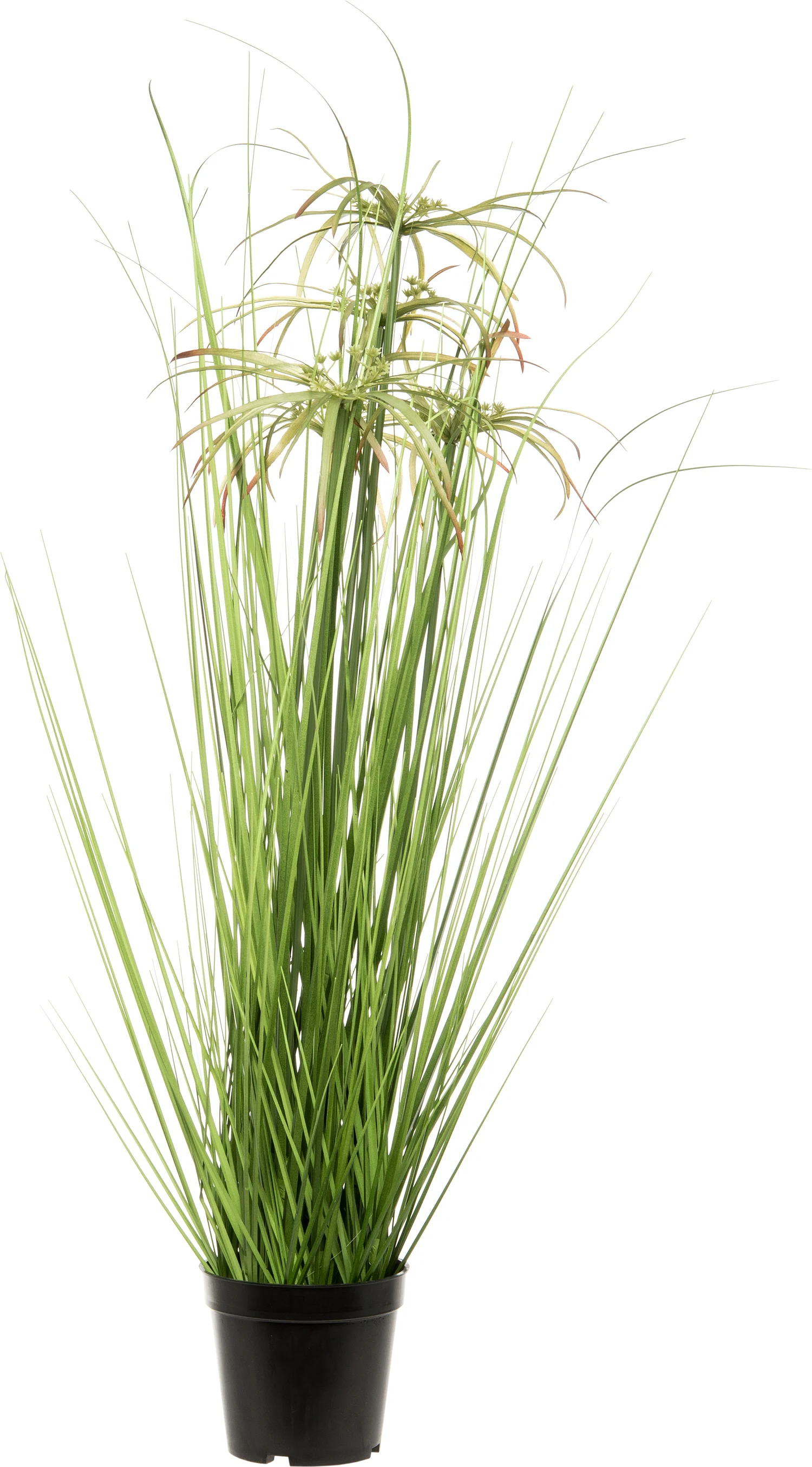 Intratuin kunstplant Papyrus D 52 H 80 cm