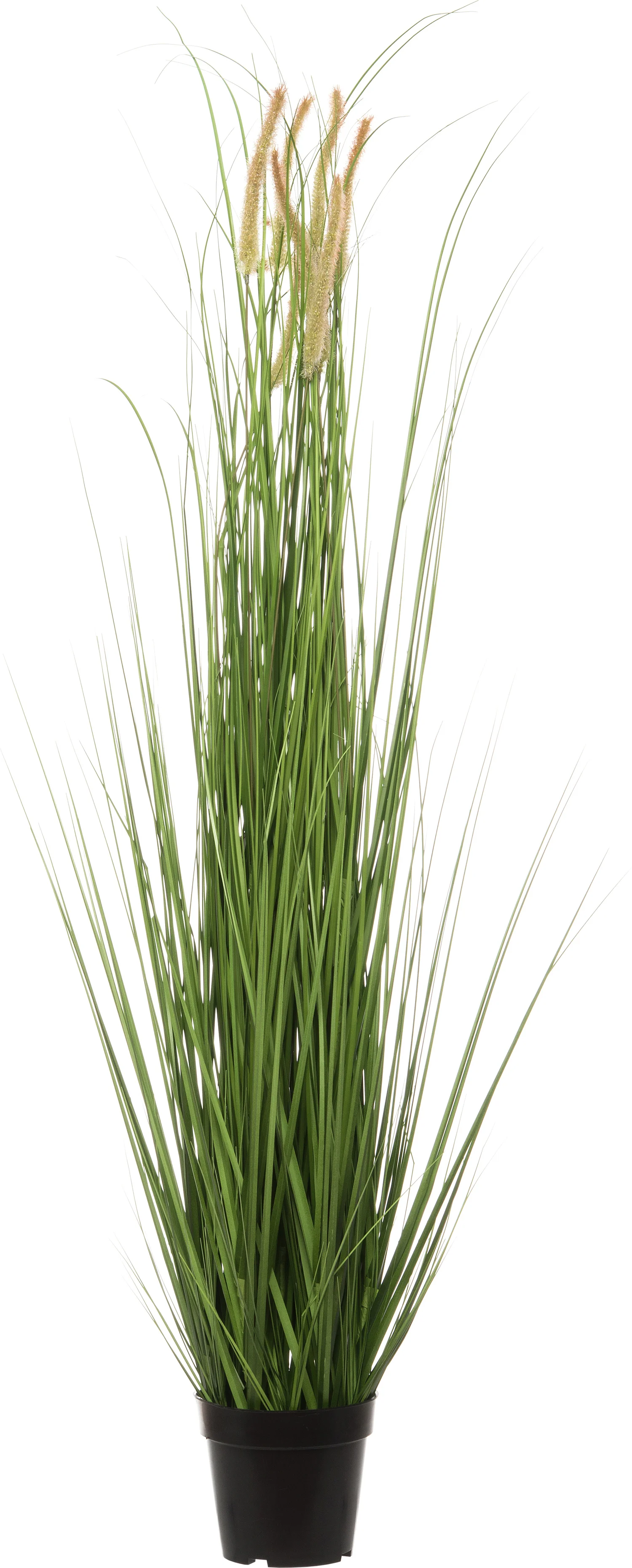 Intratuin kunstplant Pennisetum D 46 H 110 cm