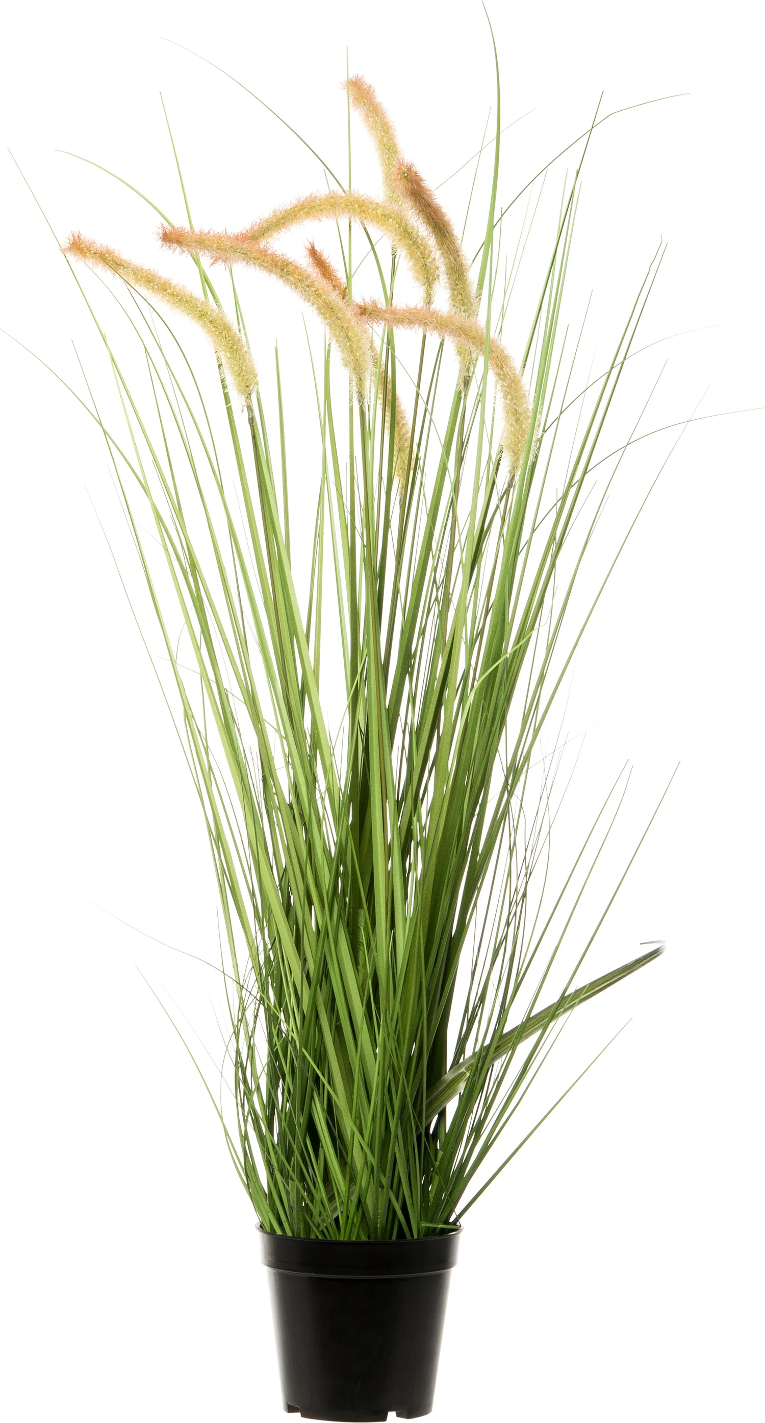 Intratuin kunstplant Pennisetum D 41 H 80 cm