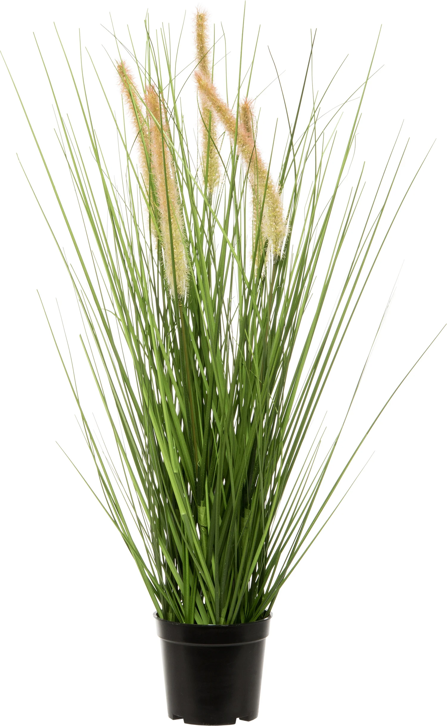Intratuin kunstplant Pennisetum D 32 H 60 cm