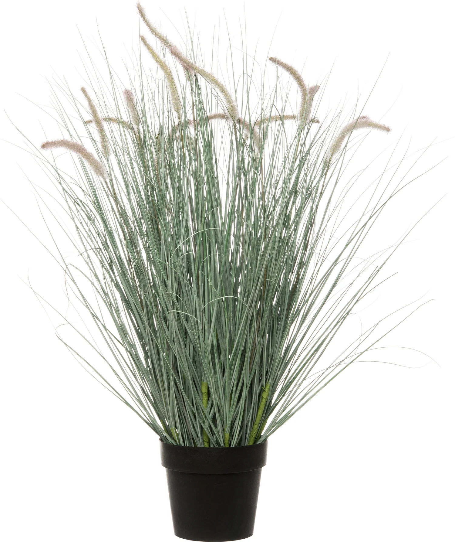 Intratuin kunstplant Pennisetum D 66 H 80 cm