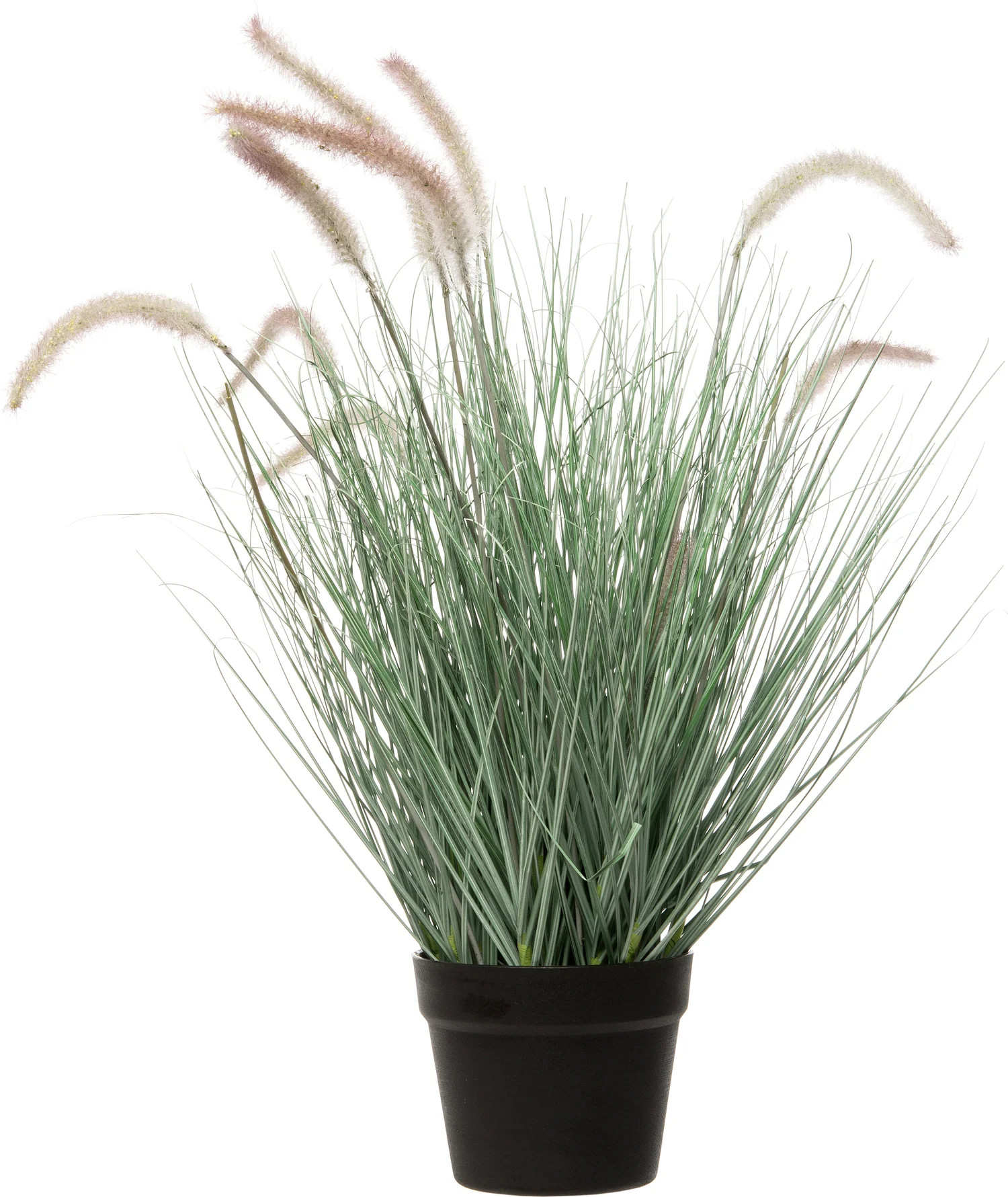 Intratuin kunstplant Pennisetum D 50 H 60 cm