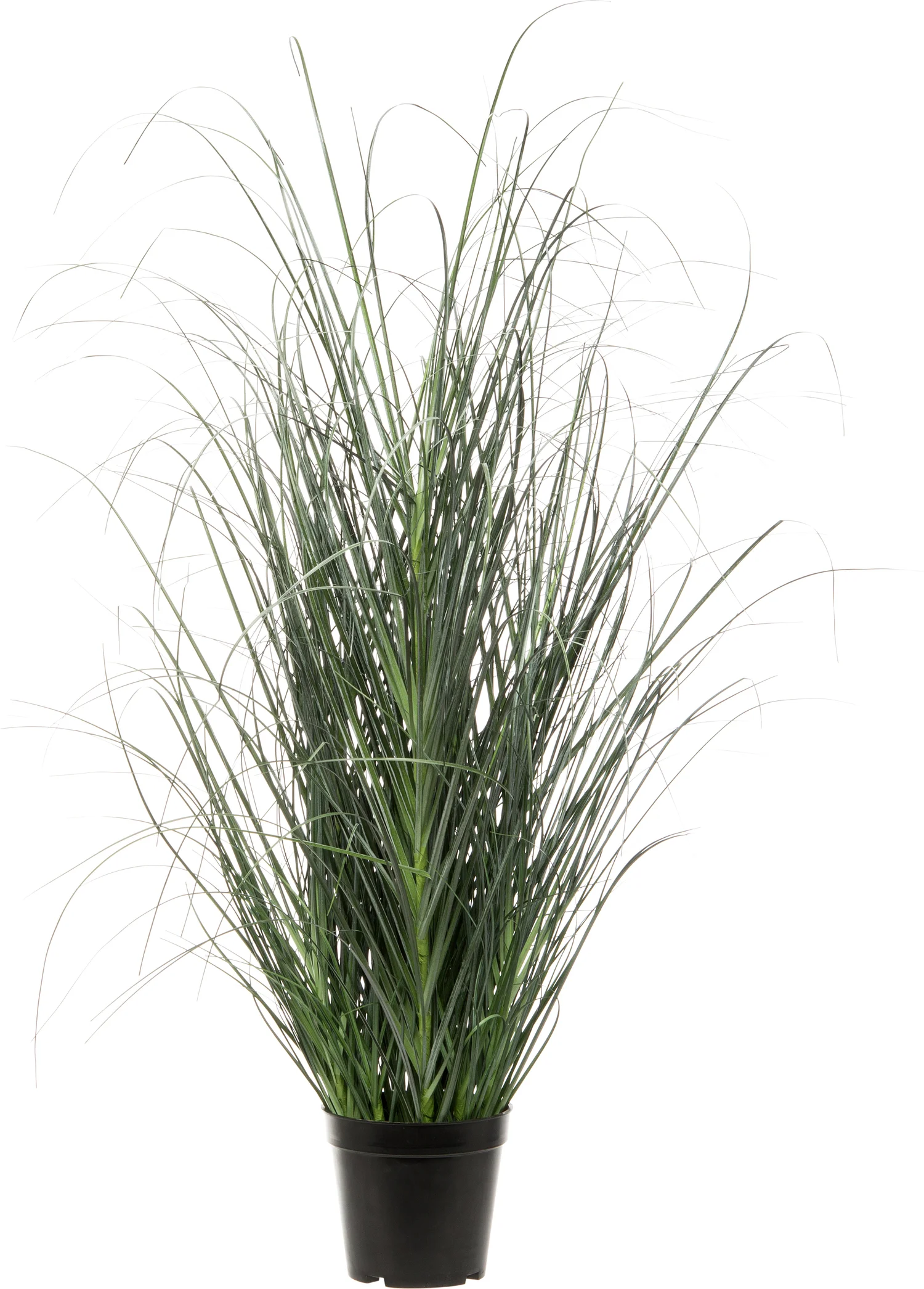 Intratuin kunstplant siergras D 12 H 80 cm