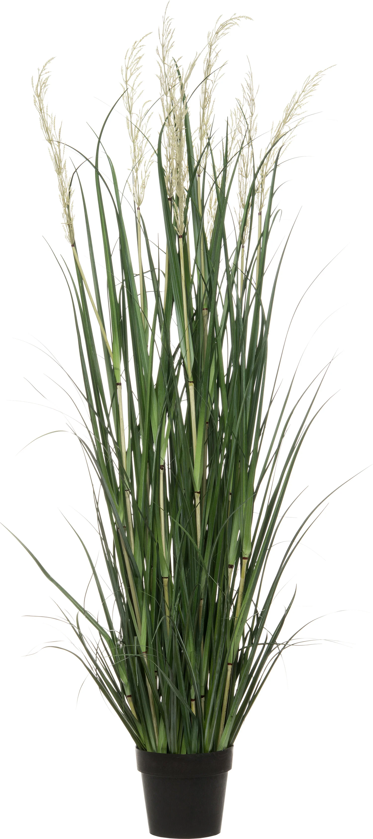 Intratuin kunstplant Miscanthus D 56 H 160 cm