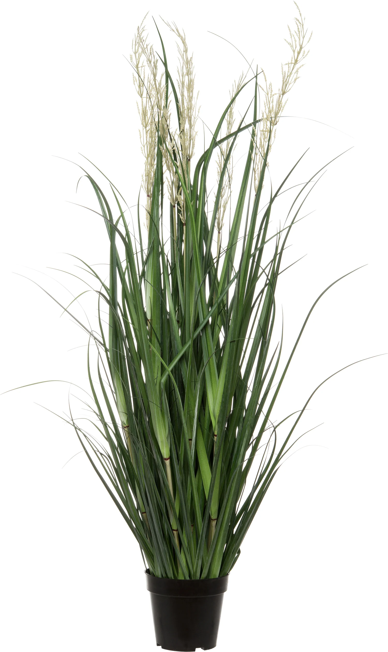 Intratuin kunstplant Miscanthus D 43 H 130 cm
