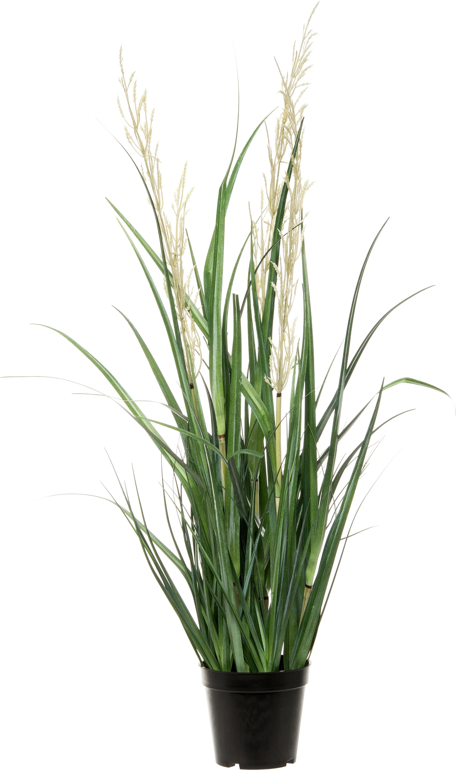 Intratuin kunstplant Miscanthus D 33 H 90 cm