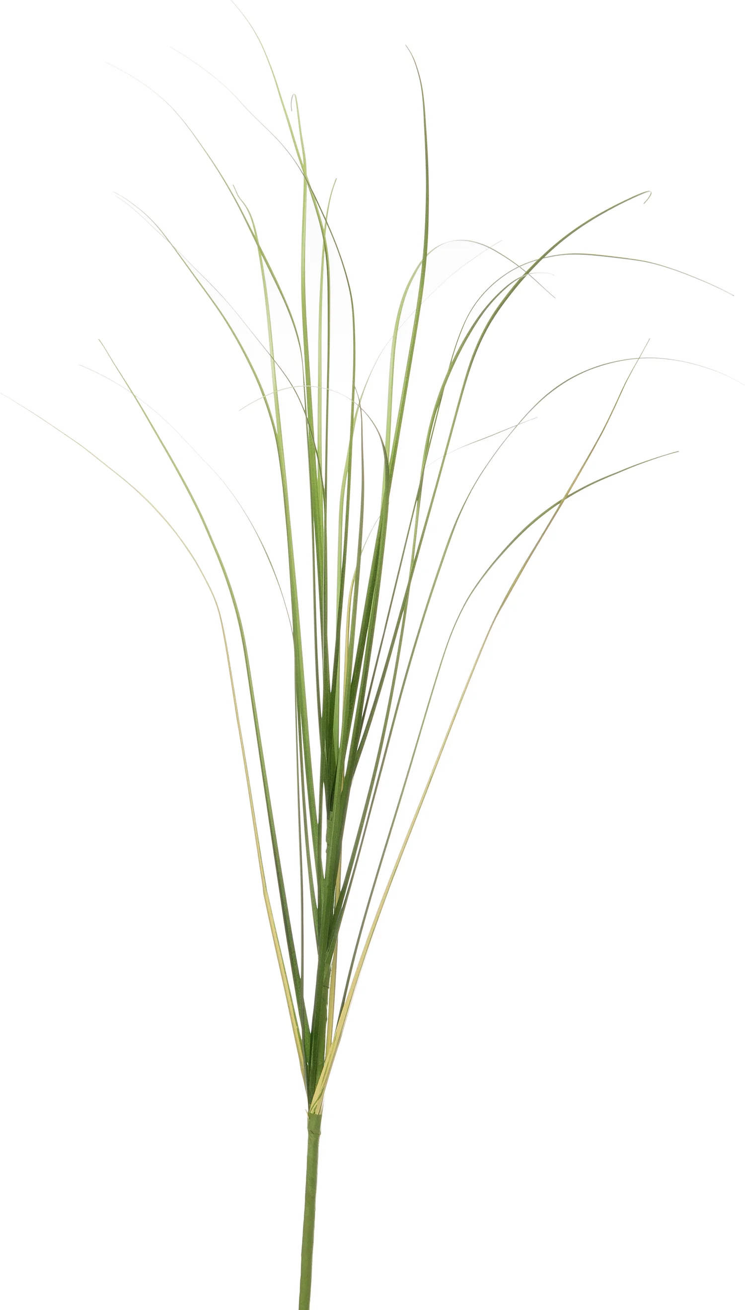 Intratuin kunsttak grasstengel H 110 cm