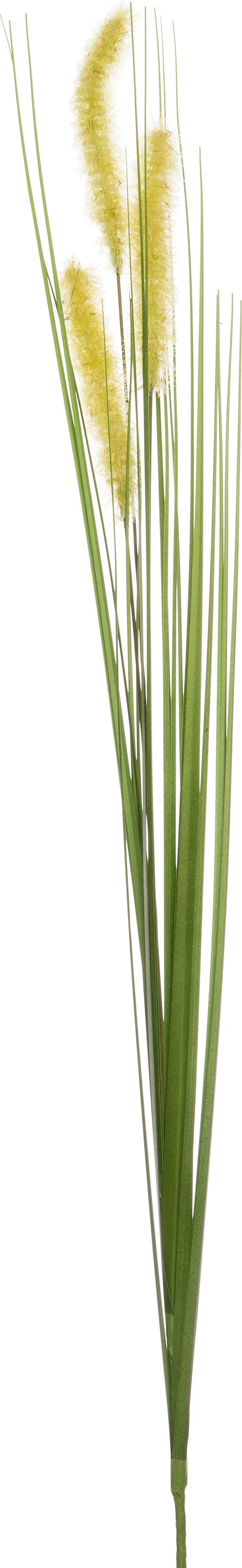 Intratuin kunsttak Pennisetum H 86 cm
