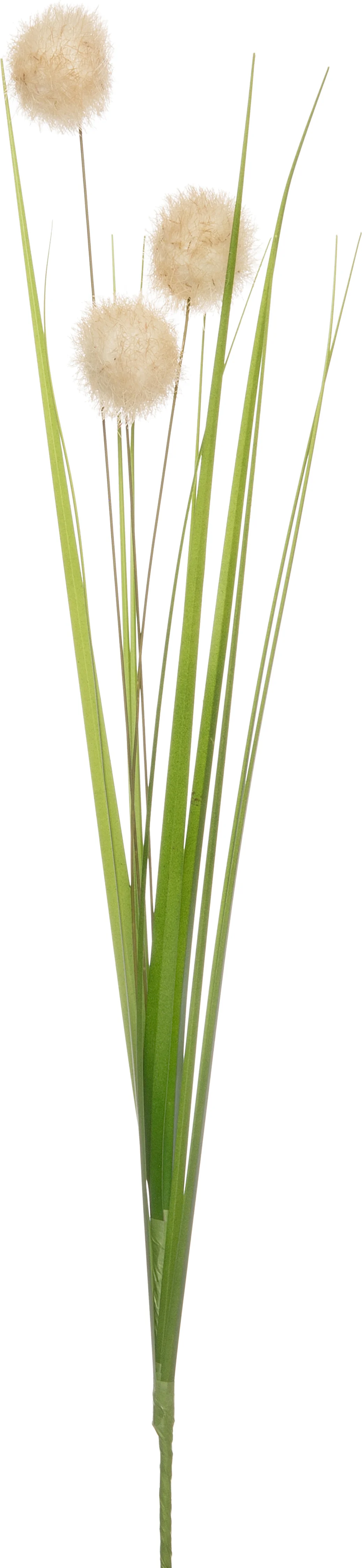 Intratuin kunsttak grasstengel met pluis H 64 cm