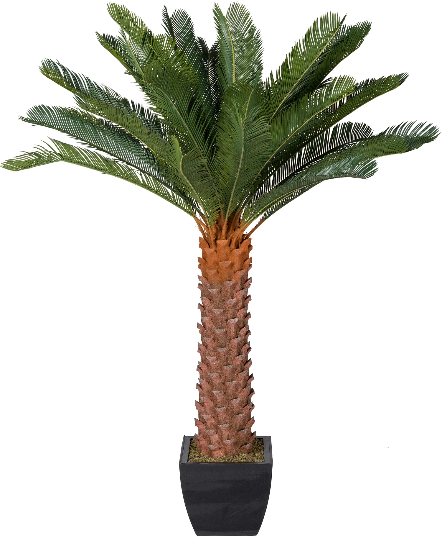 Intratuin kunstplant Varenpalm D 60 H 160 cm