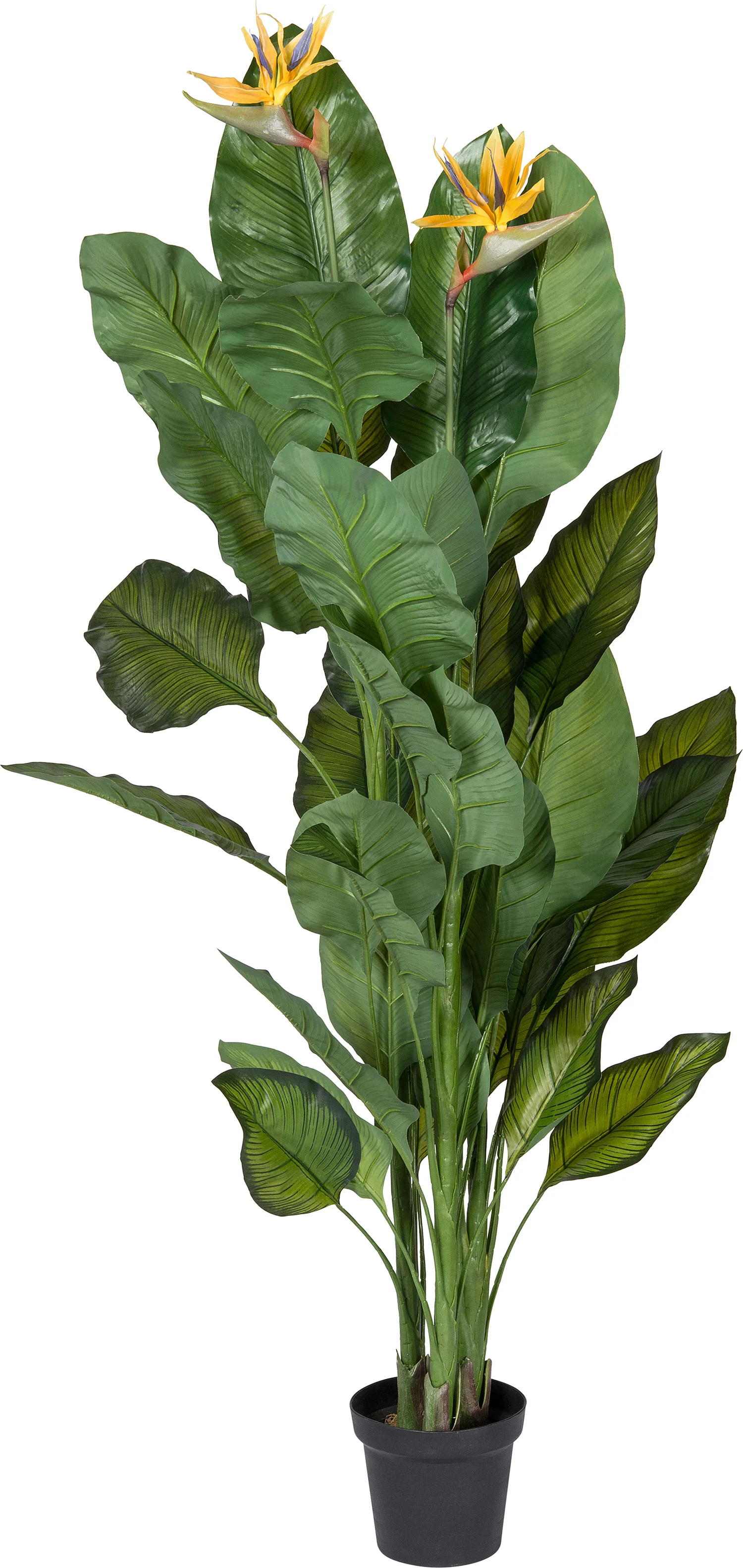 Intratuin kunstplant Paradijsvogelbloem D 50 H 170 cm geel