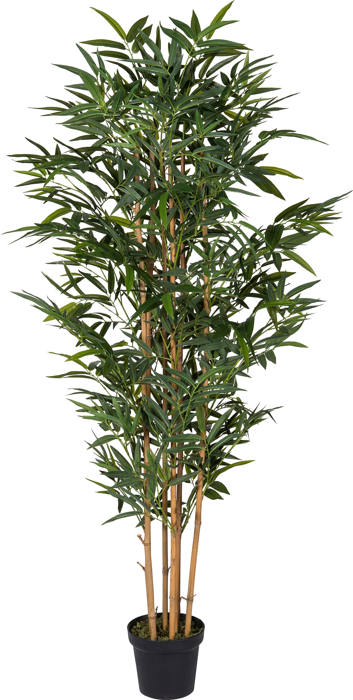Intratuin kunstplant Bamboe D 45 H 170 cm