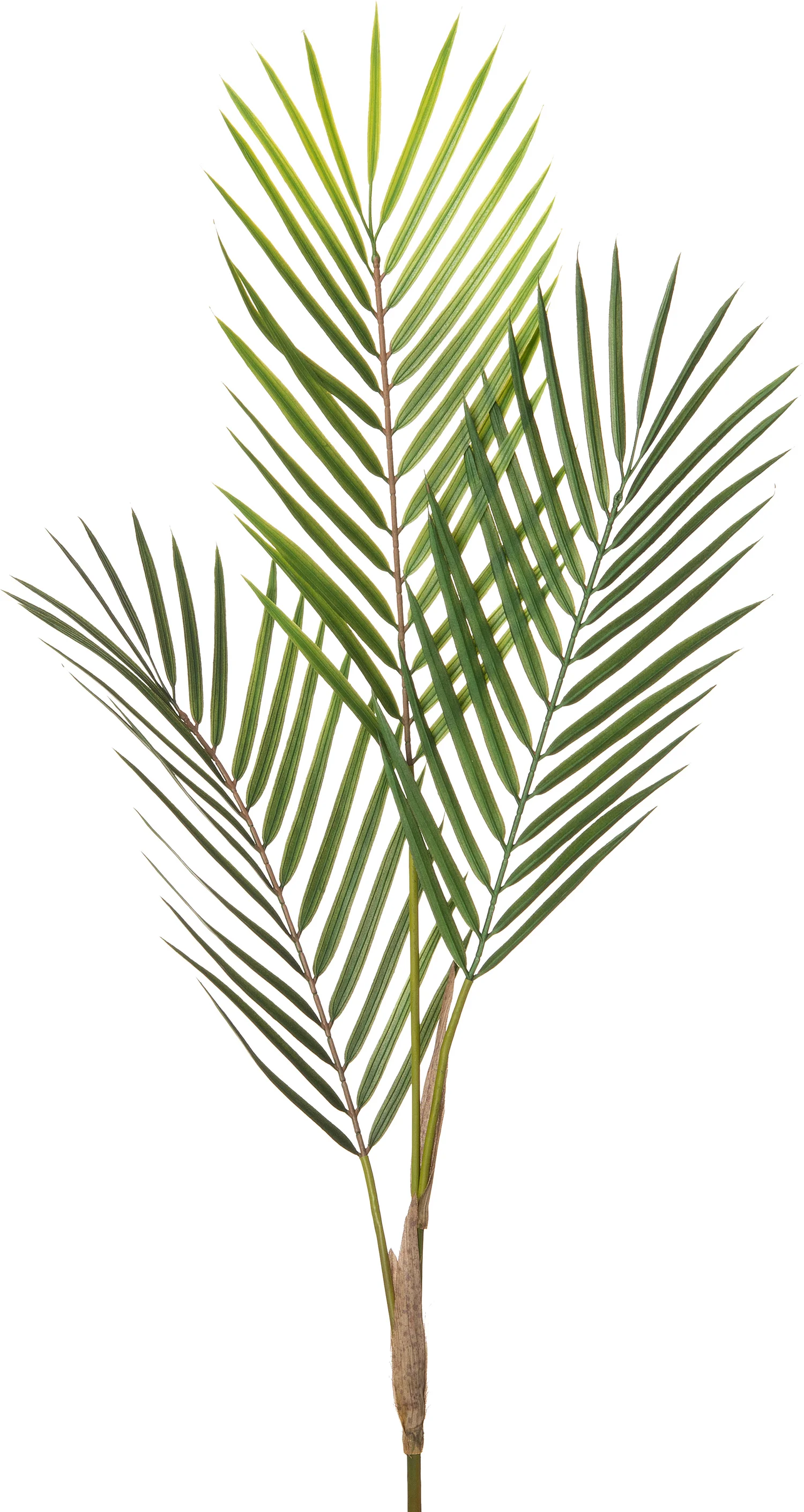 Intratuin kunsttak palm blad 71 cm