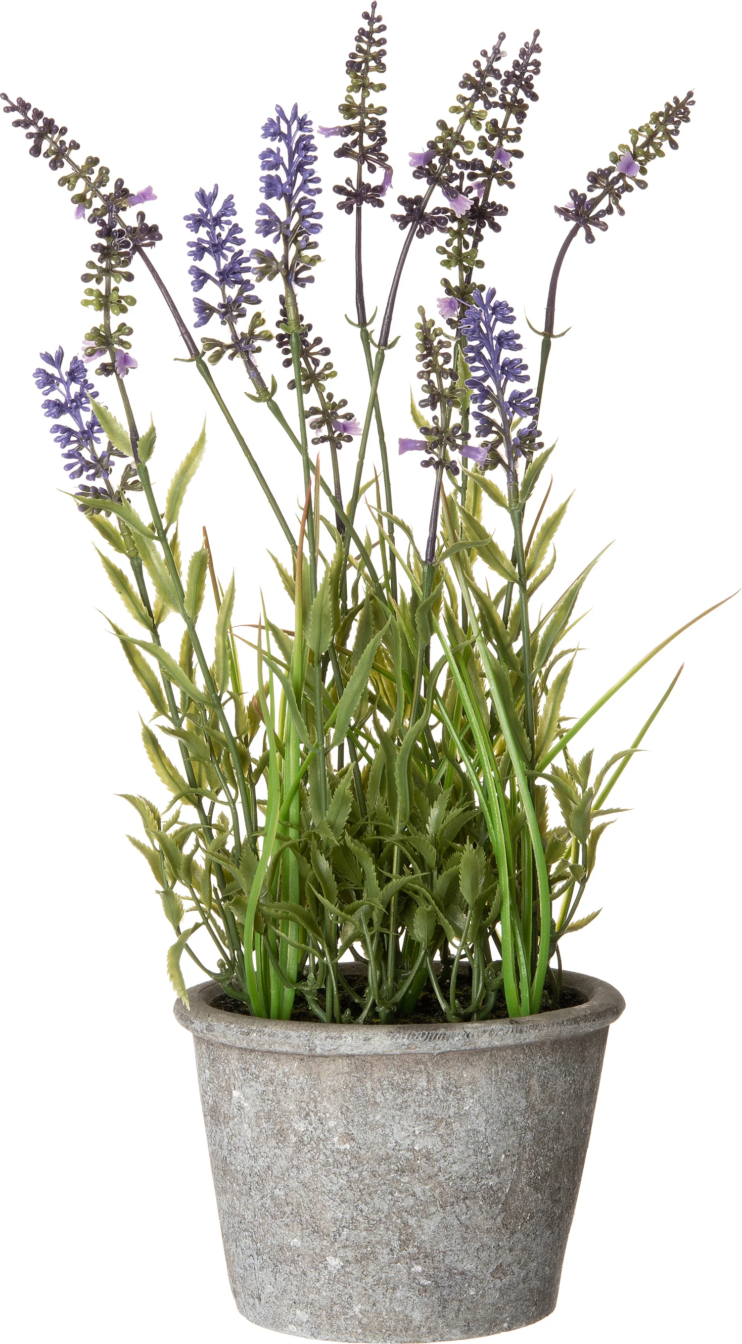 Intratuin kunstplant Blauw druifje in pot D 15 H 41 cm