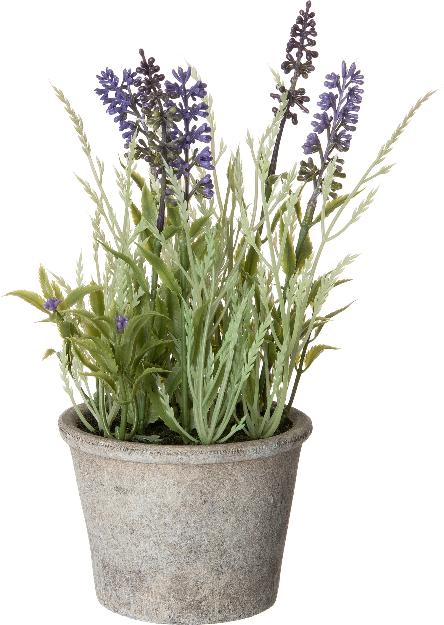Intratuin kunstplant Blauw druifje in pot D 13 H 25 cm