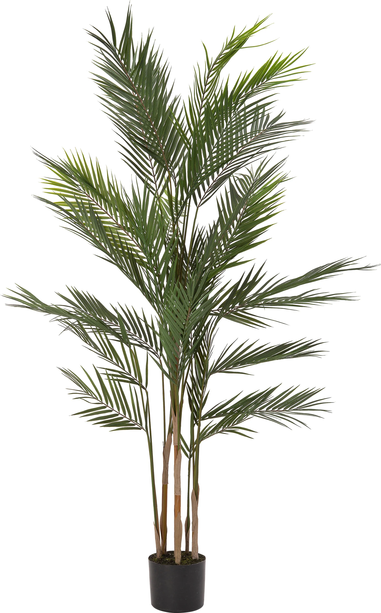 Intratuin kunstplant Palm 81 x 81 x 152 cm