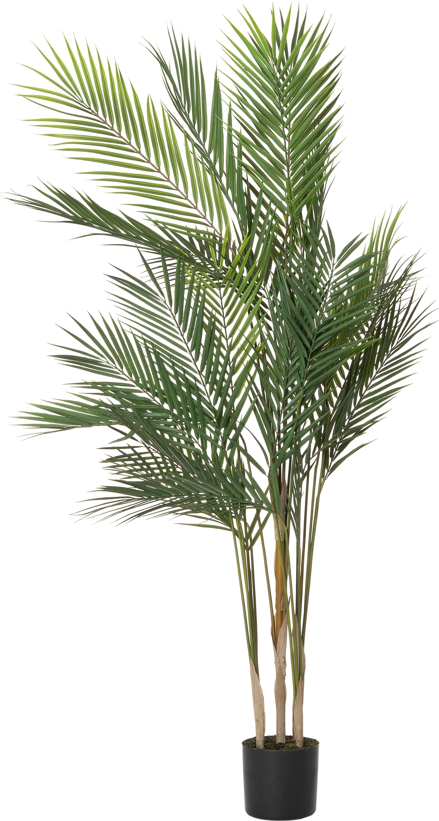 Intratuin kunstplant Palm D 81 H 122 cm