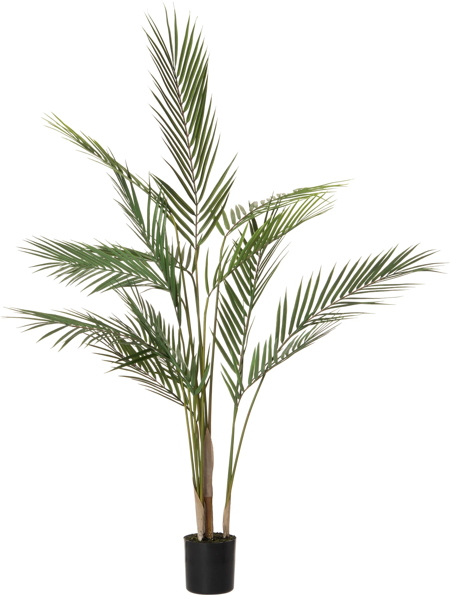 Intratuin kunstplant Palm D 66 H 91 cm