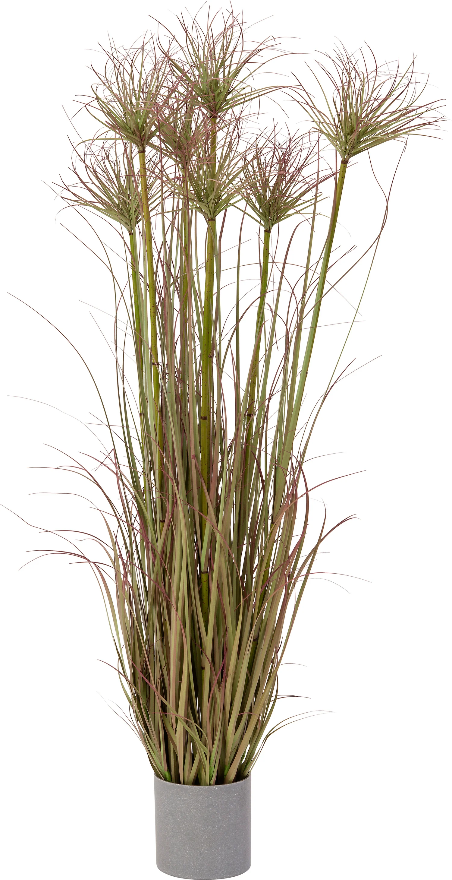 Intratuin kunstplant Siergras groen/rood 35 x 35 x 120 cm