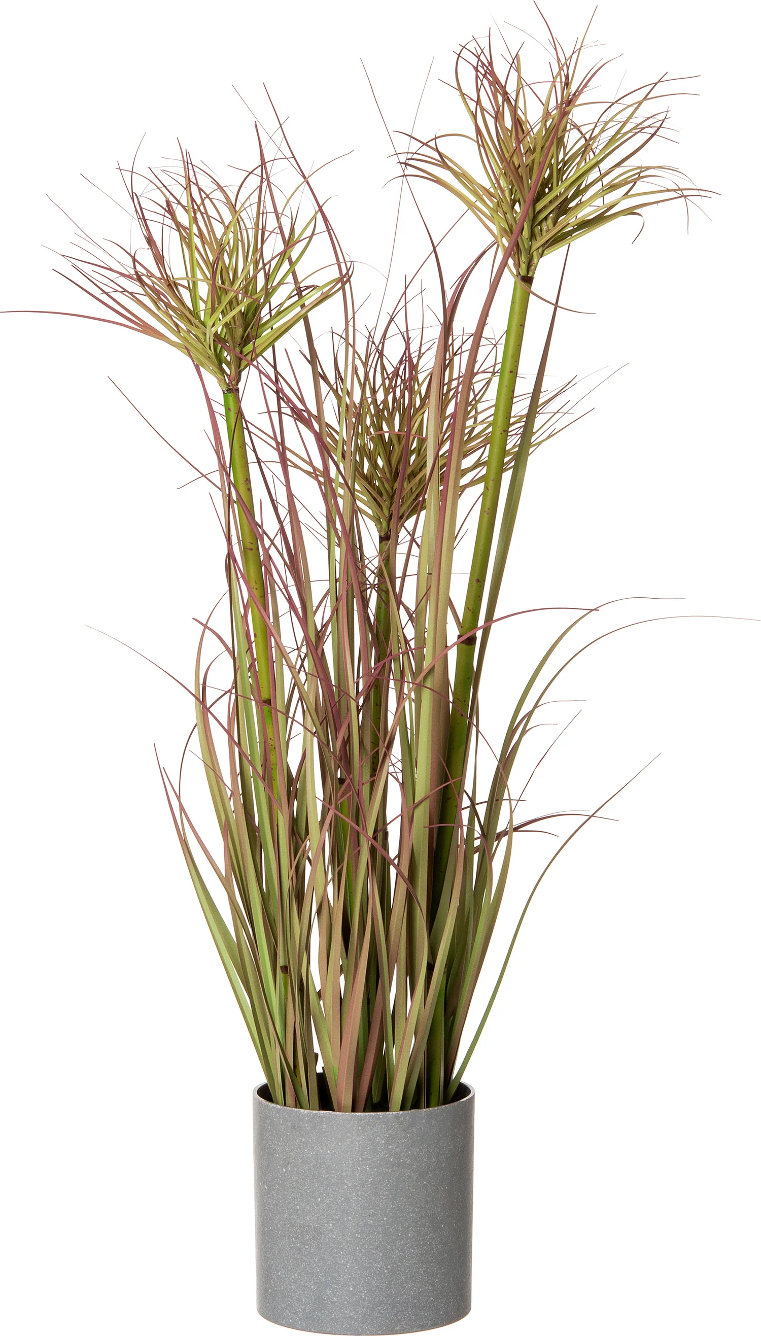 Intratuin kunstplant Papyrus D 25 H 65 cm