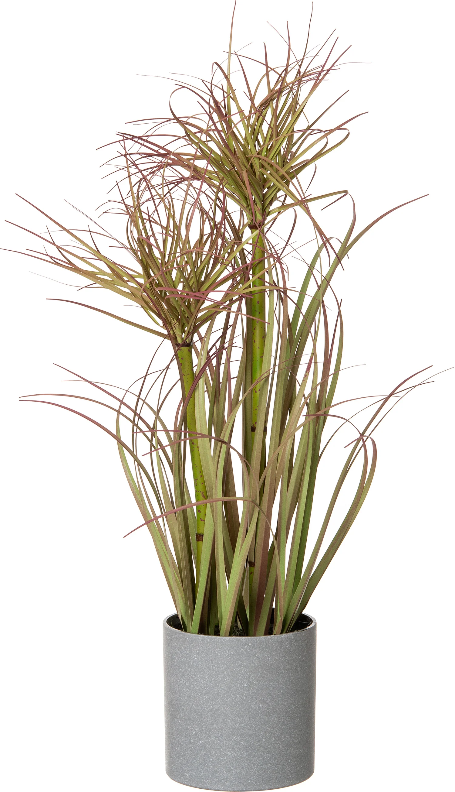 Intratuin kunstplant Papyrus D 25 H 45 cm