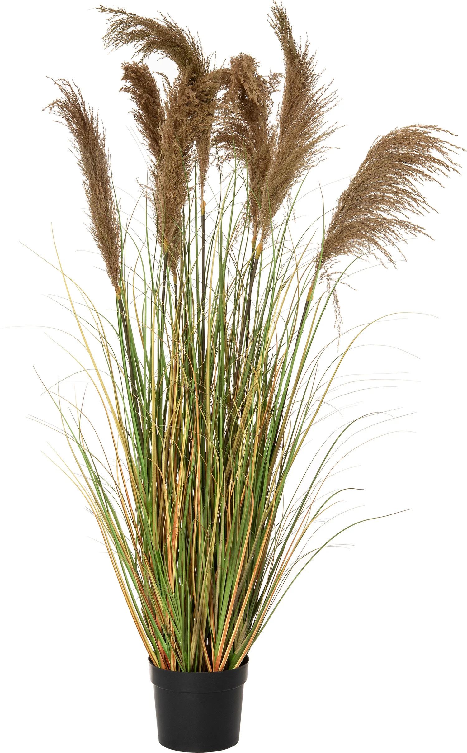 Intratuin kunstplant Chinees riet D 65 H 165 cm