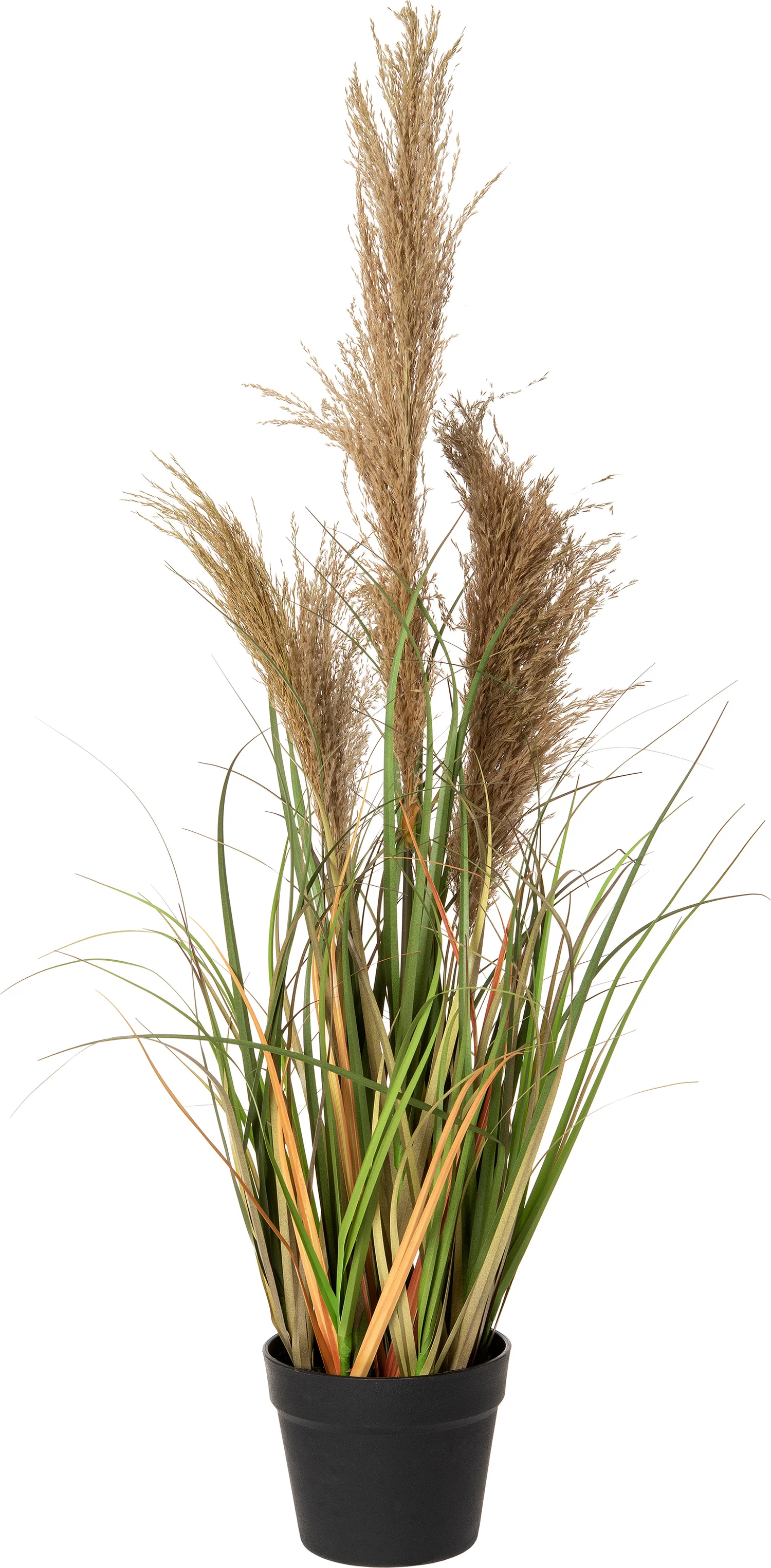 Intratuin kunstplant Chineesriet D 40 H 85 cm